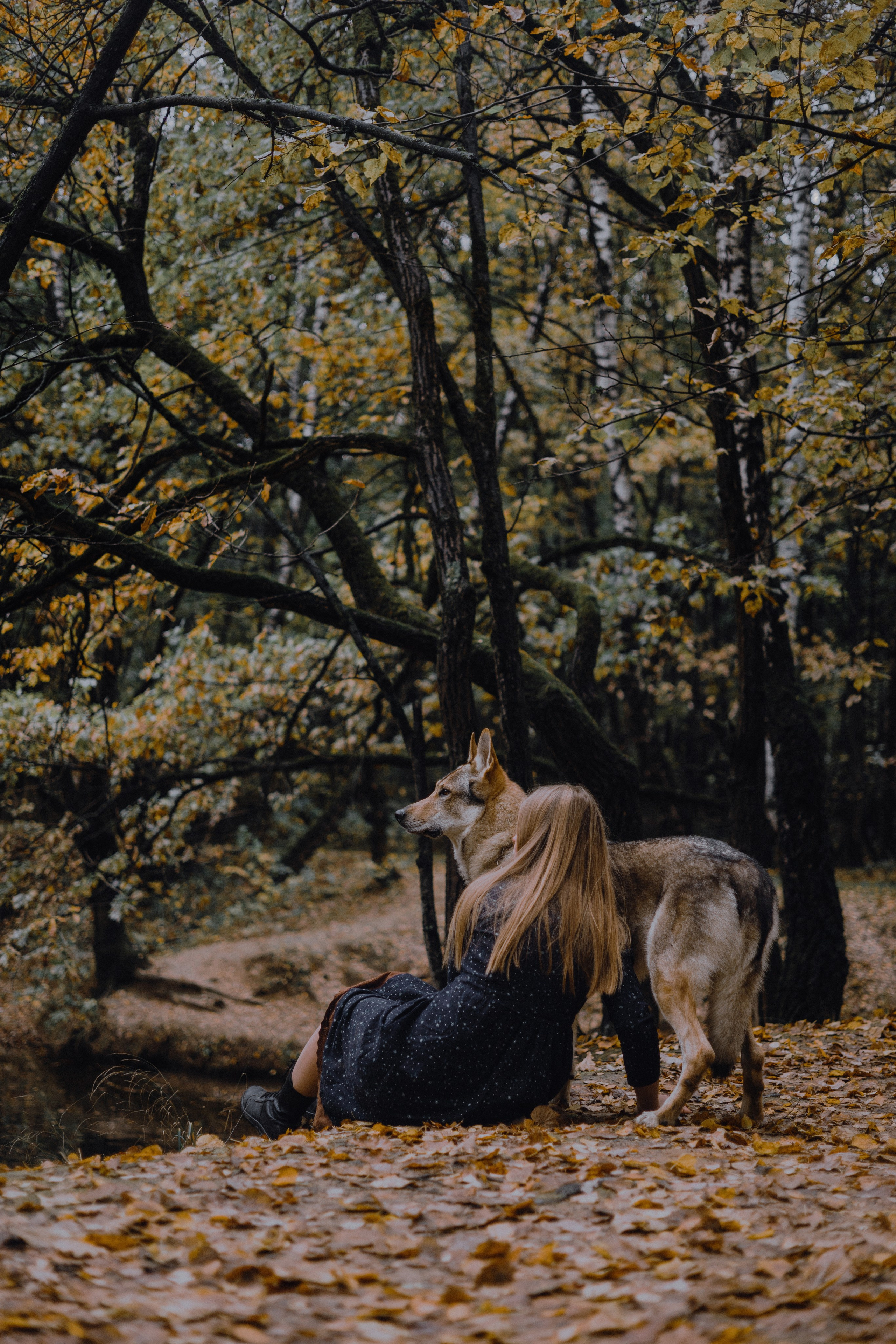 Полина и Вегард. Фотограф-анималист Богданова Полина
