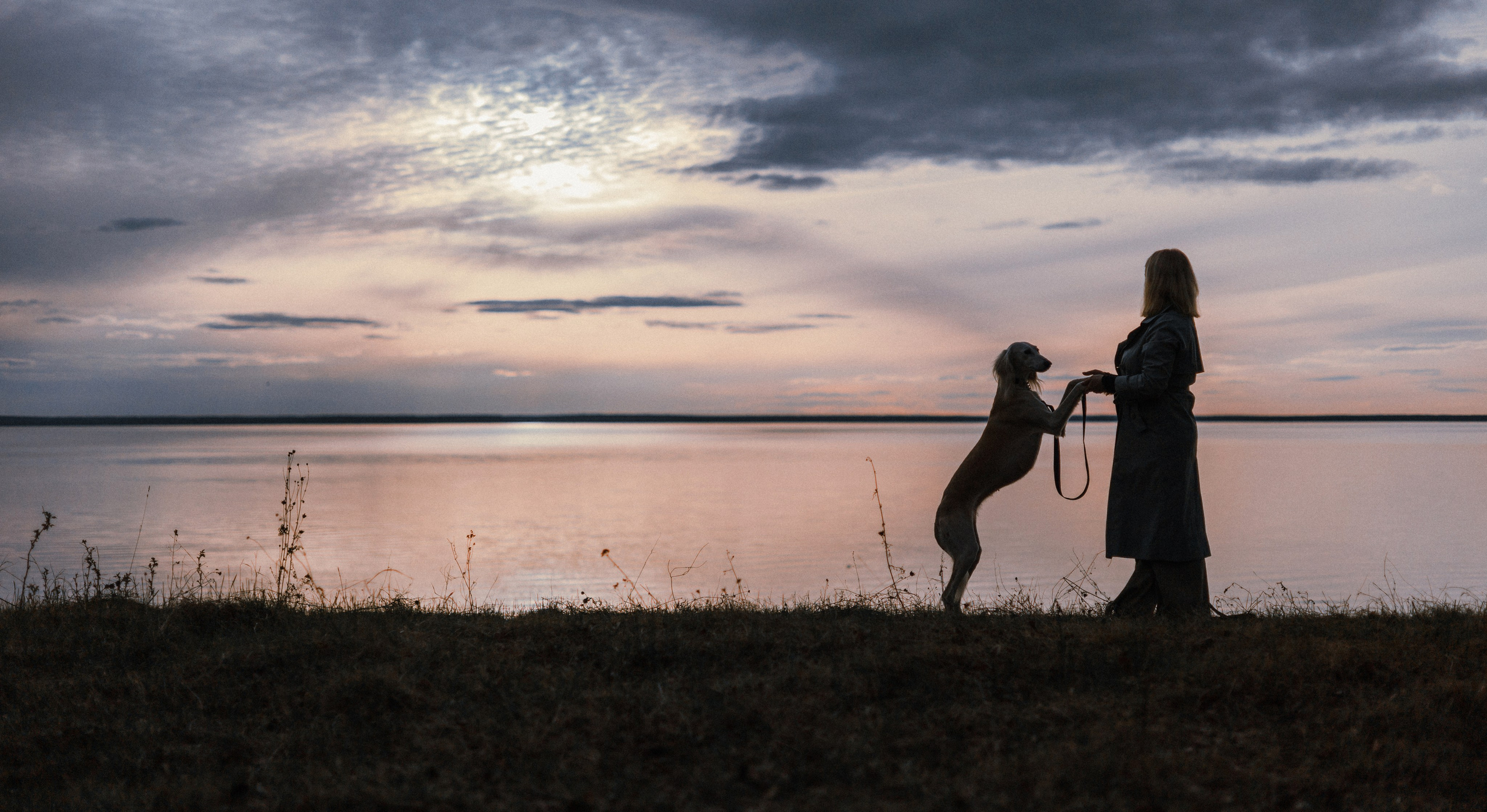 Настя и Бейда. Фотограф-анималист Богданова Полина