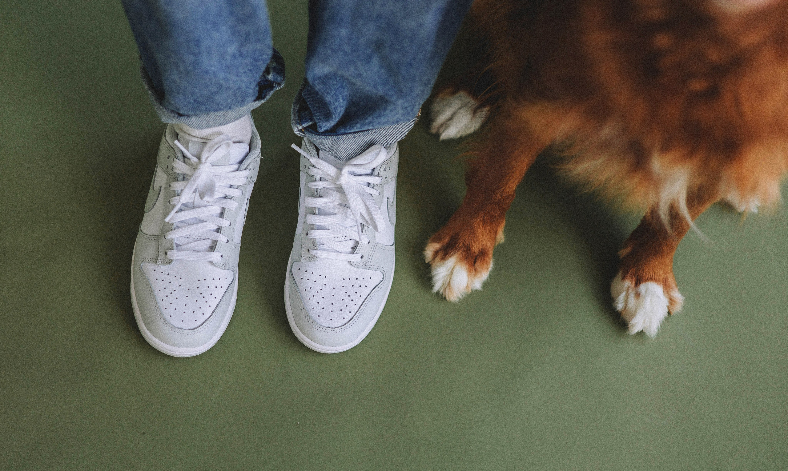 Аня и Лея. Фотограф-анималист Богданова Полина