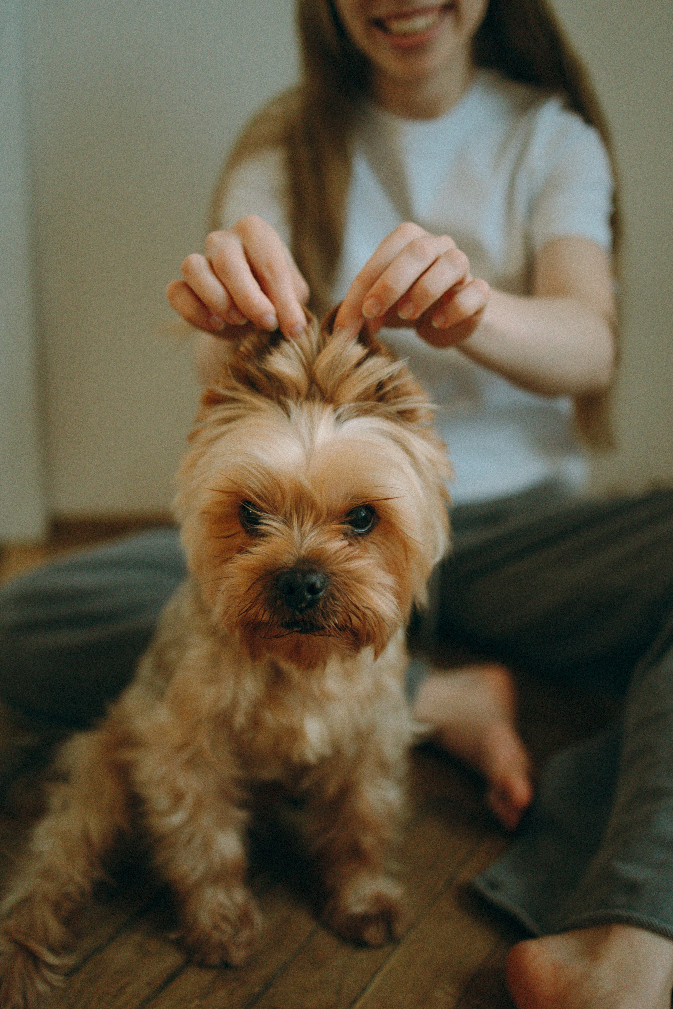 Ричард и Ксюша. Фотограф анималист Анастасия Пикей