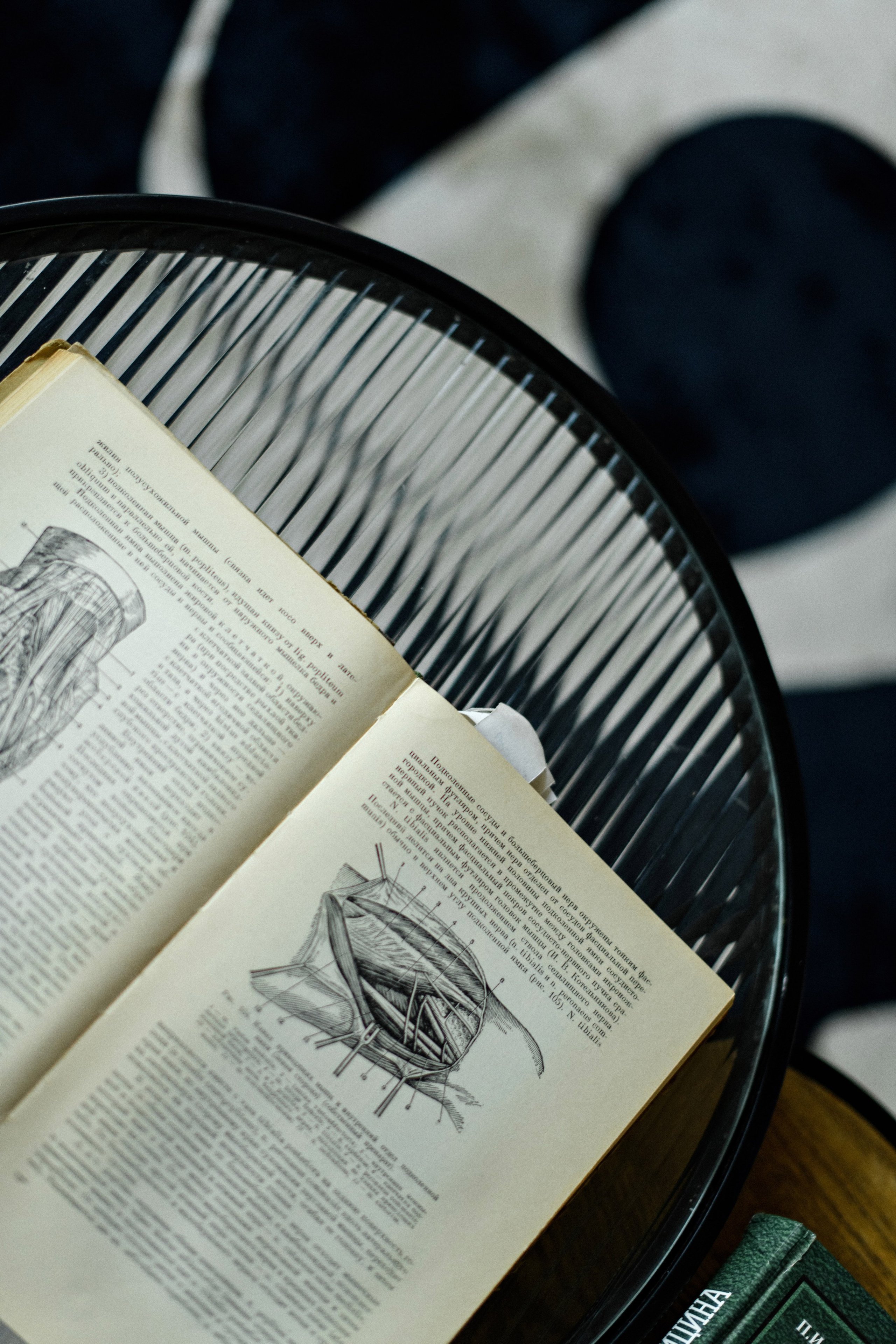 Остеопат. Свадебный фотограф в Санкт-Петербурге София Шубик