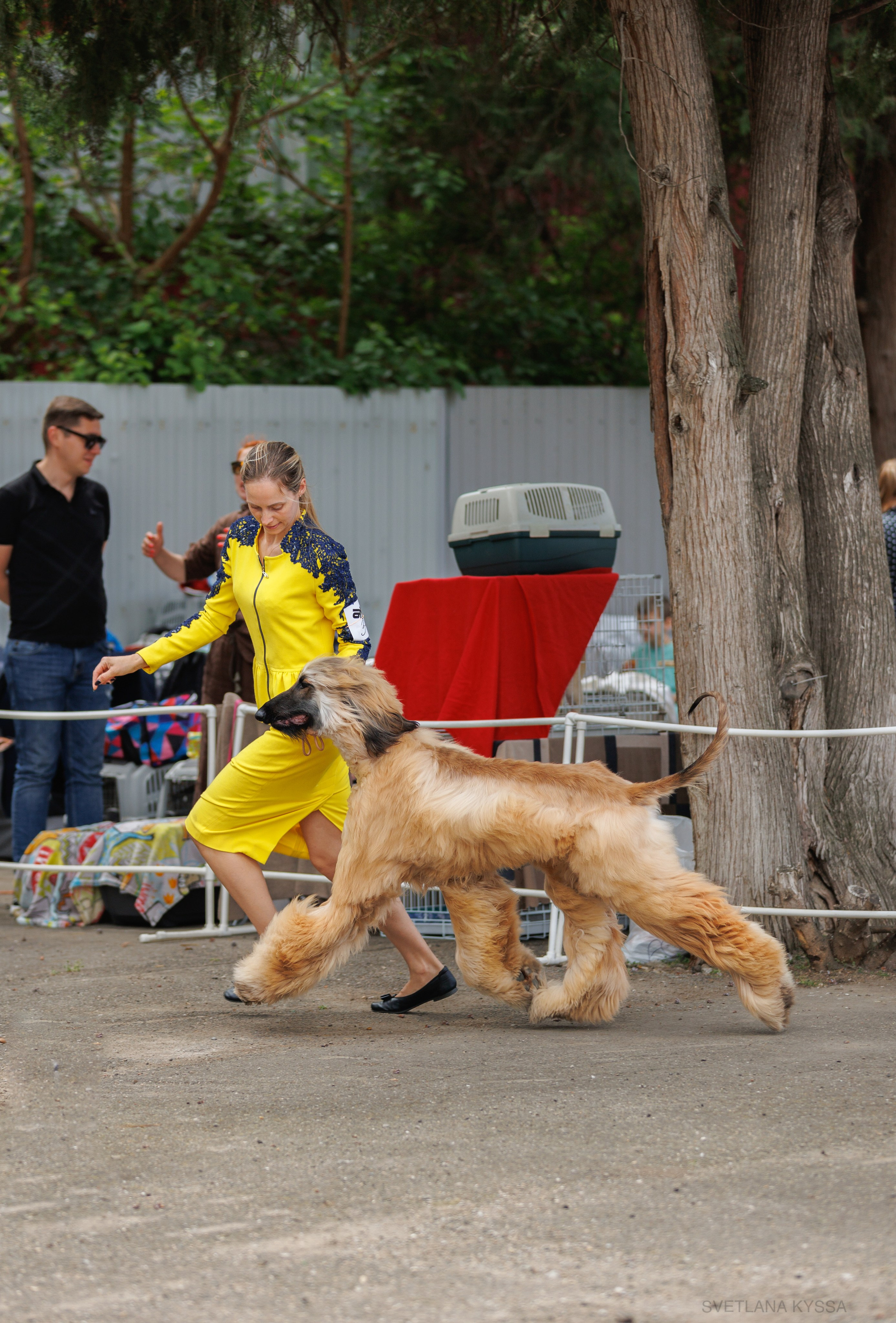 Фото с выставки собак. Фотограф — анималист Светлана Кысса|фотограф собак в Краснодаре и Нижнем Новгороде