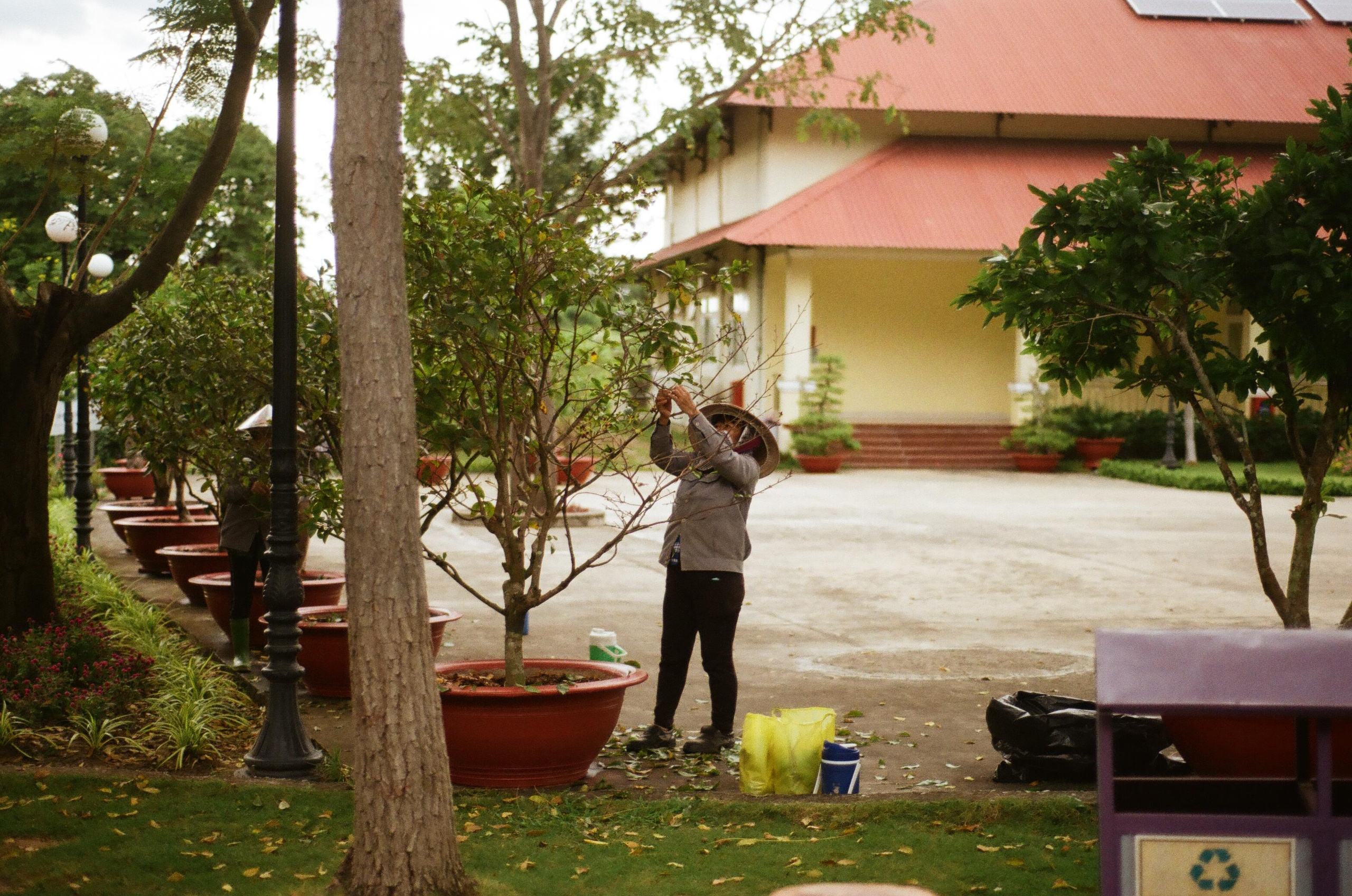 Vietnam. Съёмка влюблённых в Санкт-Петербурге Ксения Чердакова, парный фотограф
