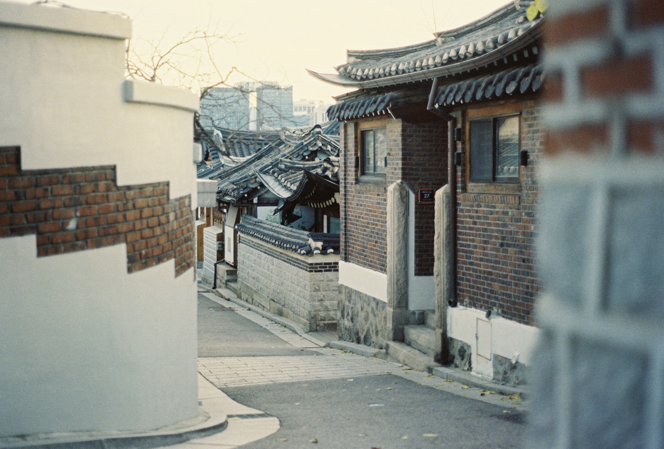 Seoul, South Korea. Съёмка влюблённых в Санкт-Петербурге Ксения Чердакова, парный фотограф