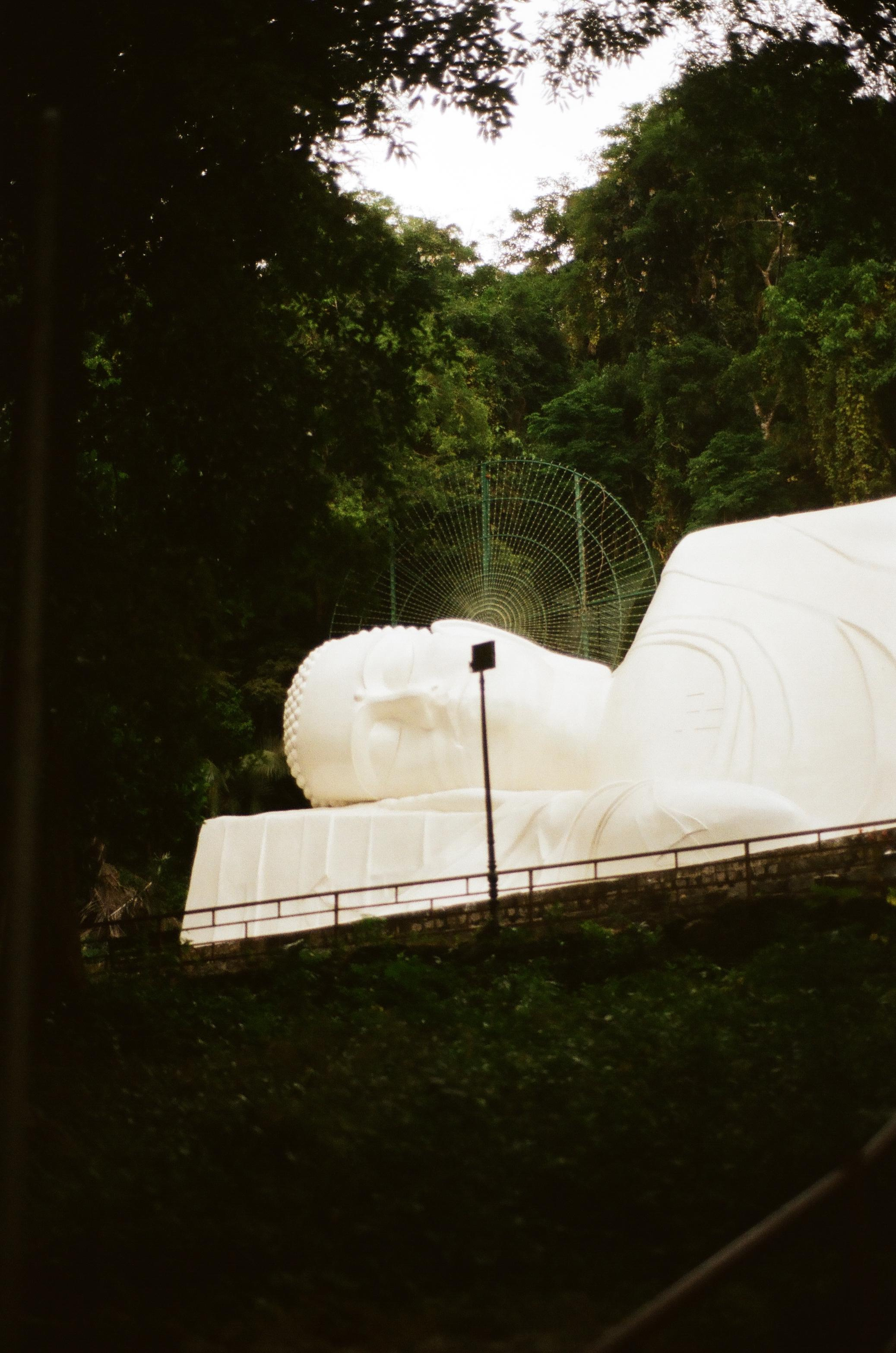 Vietnam. Съёмка влюблённых в Санкт-Петербурге Ксения Чердакова, парный фотограф