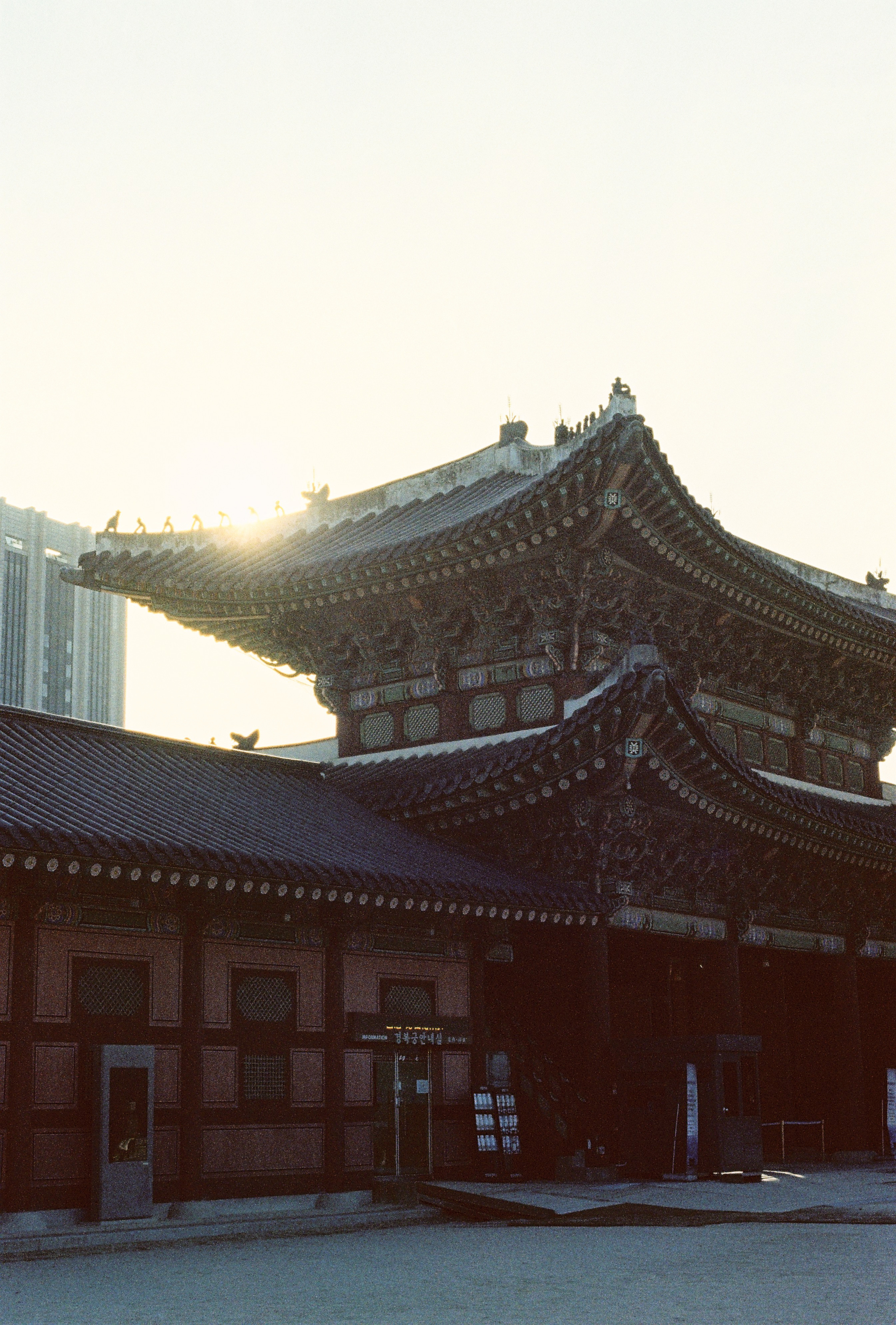 Seoul, South Korea. Съёмка влюблённых в Санкт-Петербурге Ксения Чердакова, парный фотограф