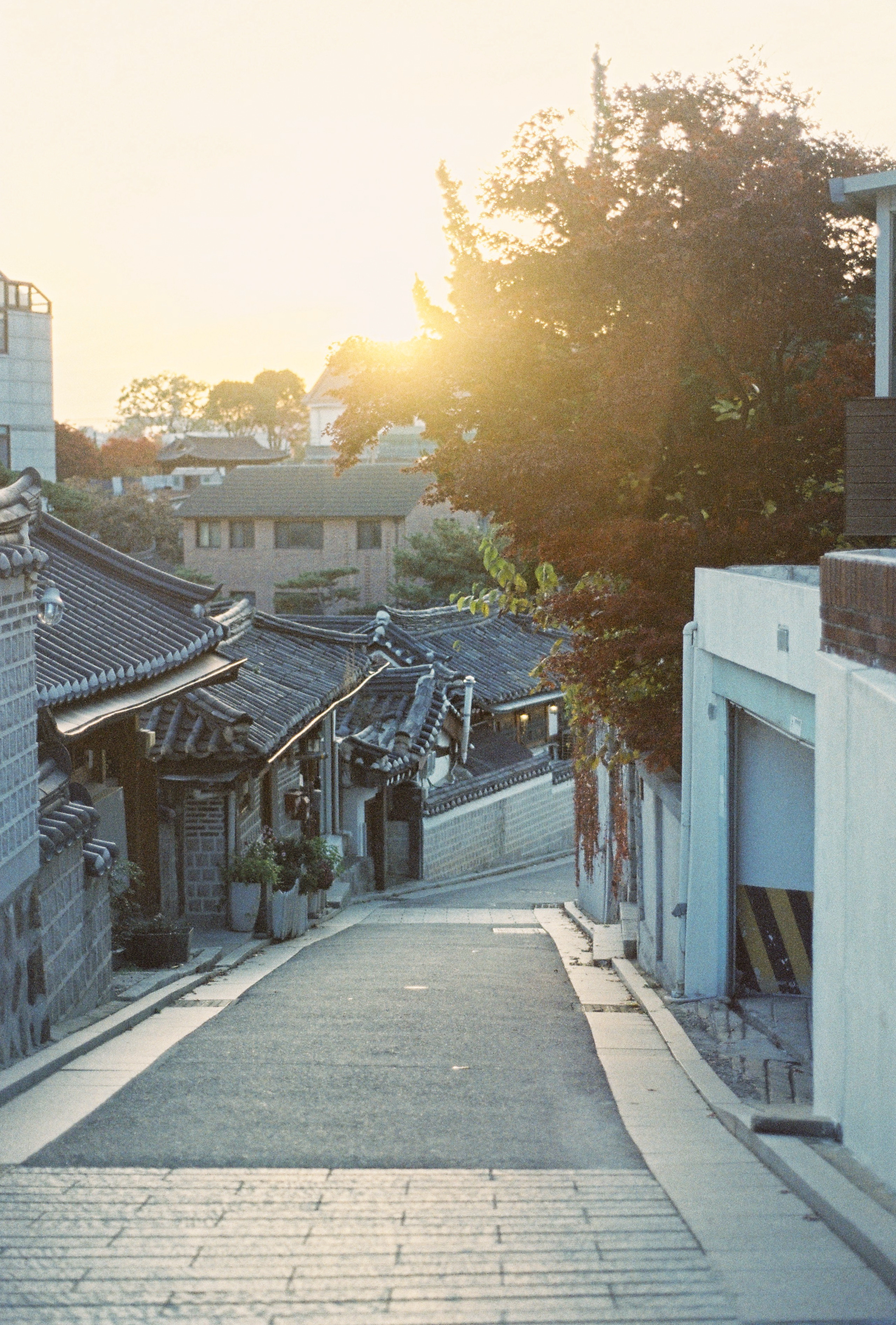 Seoul, South Korea. Съёмка влюблённых в Санкт-Петербурге Ксения Чердакова, парный фотограф