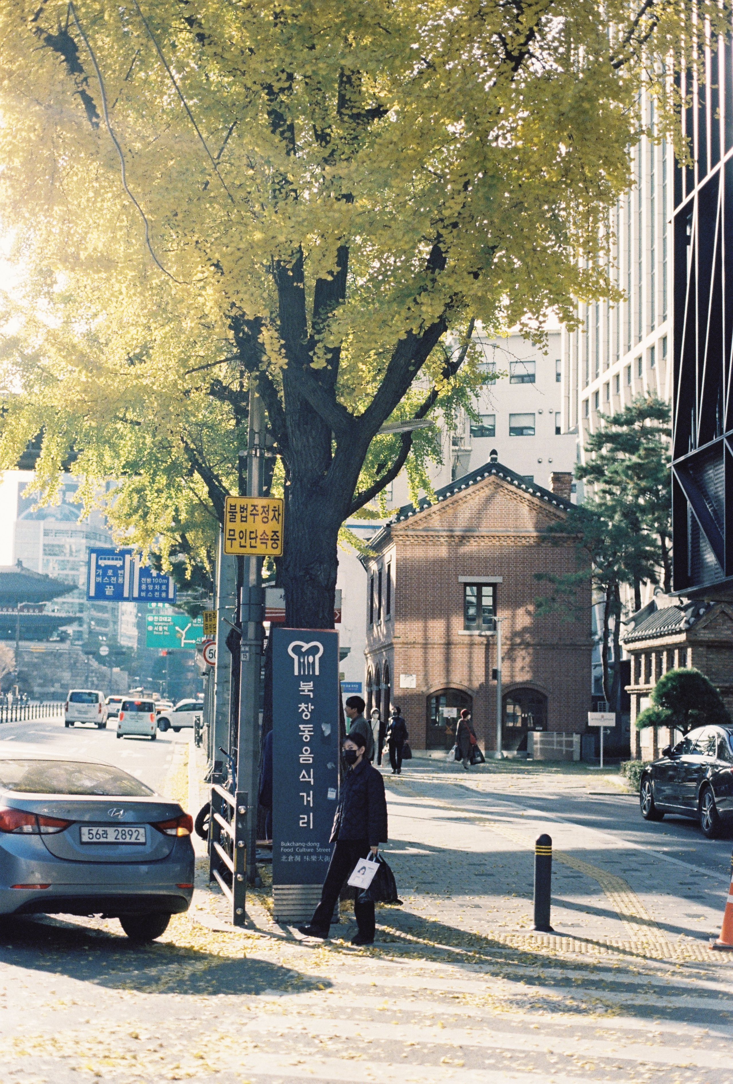 Seoul, South Korea. Съёмка влюблённых в Санкт-Петербурге Ксения Чердакова, парный фотограф