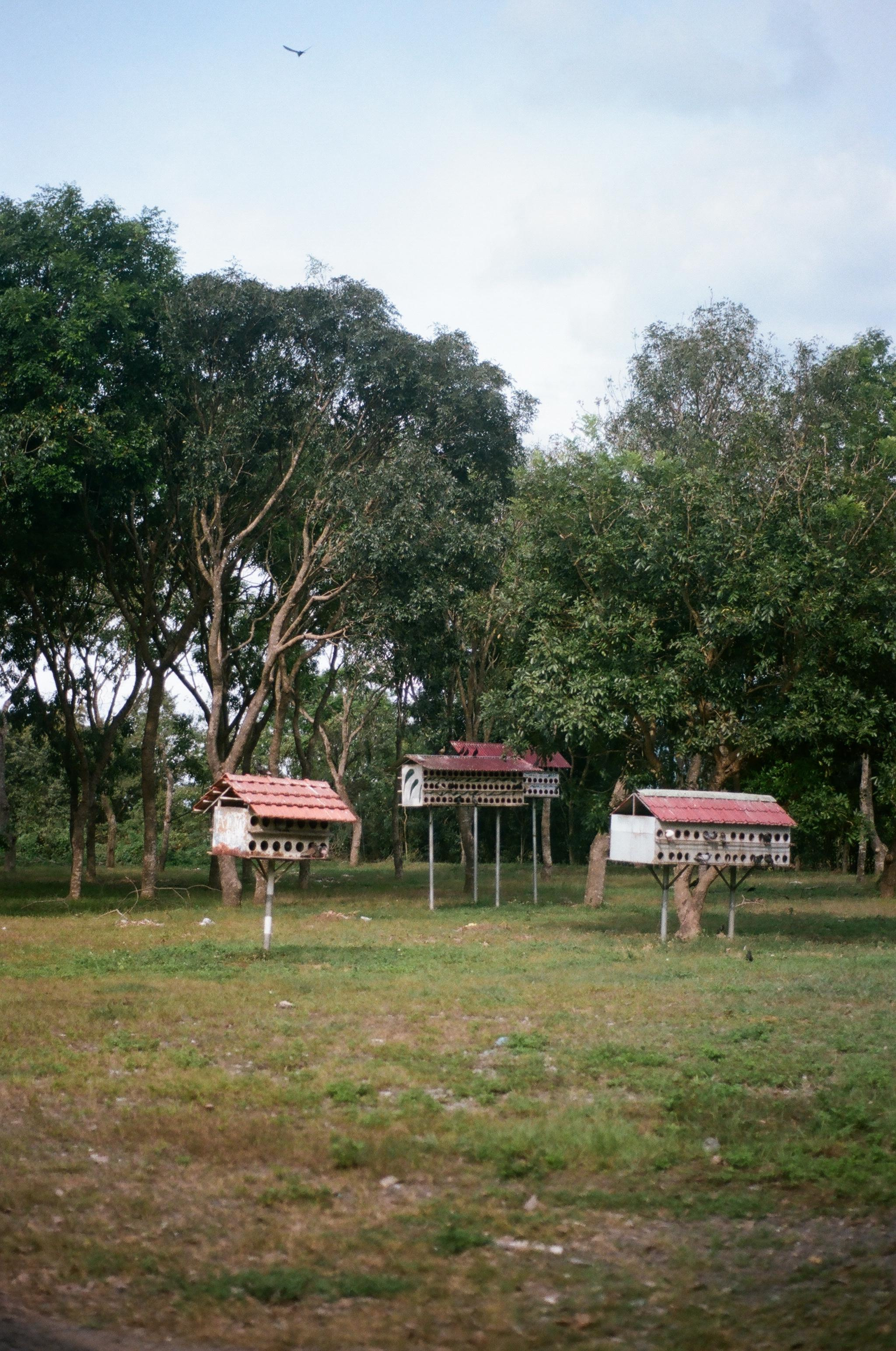 Vietnam. Съёмка влюблённых в Санкт-Петербурге Ксения Чердакова, парный фотограф