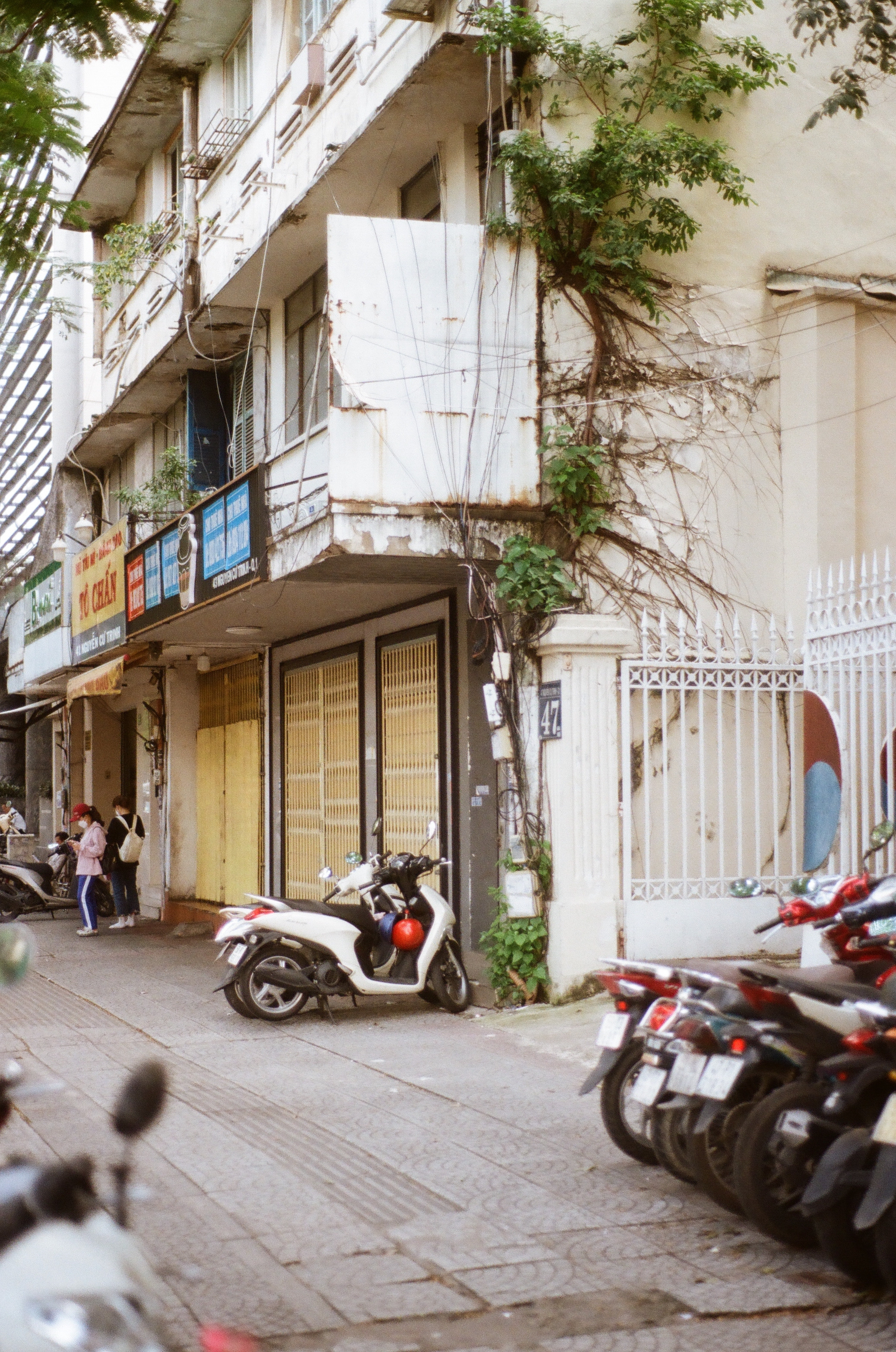 Vietnam. Съёмка влюблённых в Санкт-Петербурге Ксения Чердакова, парный фотограф