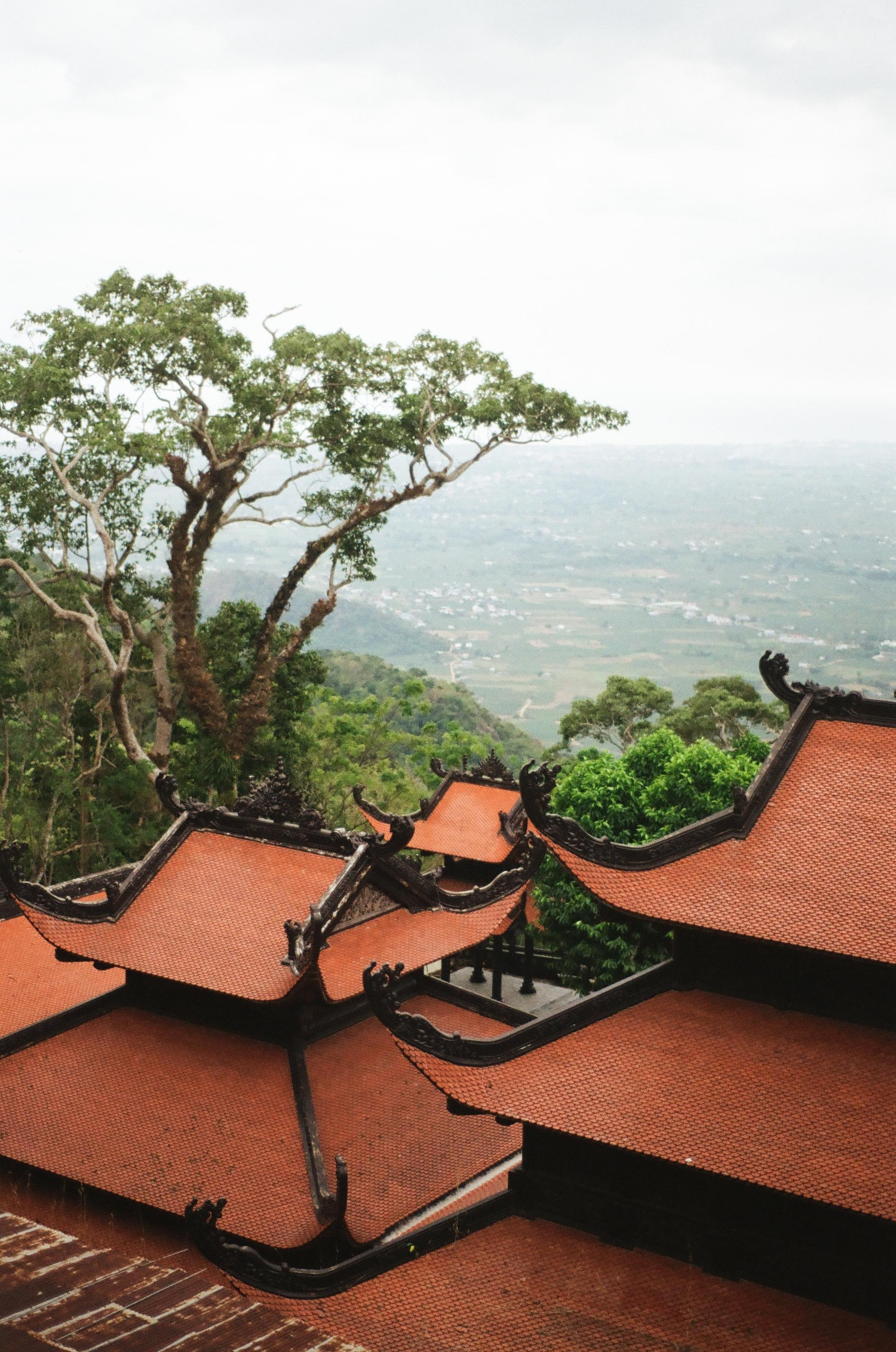 Vietnam. Съёмка влюблённых в Санкт-Петербурге Ксения Чердакова, парный фотограф
