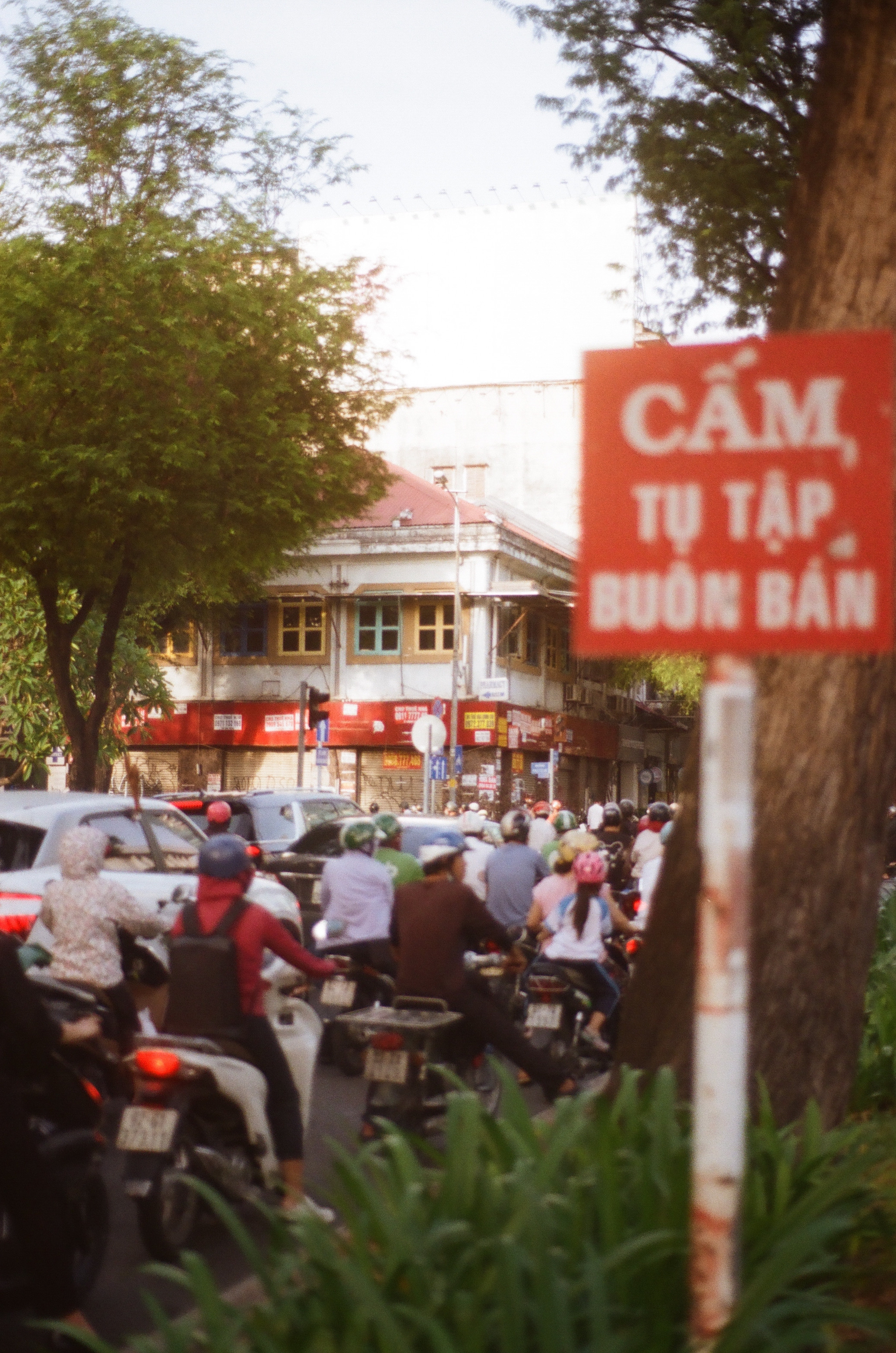 Vietnam. Съёмка влюблённых в Санкт-Петербурге Ксения Чердакова, парный фотограф