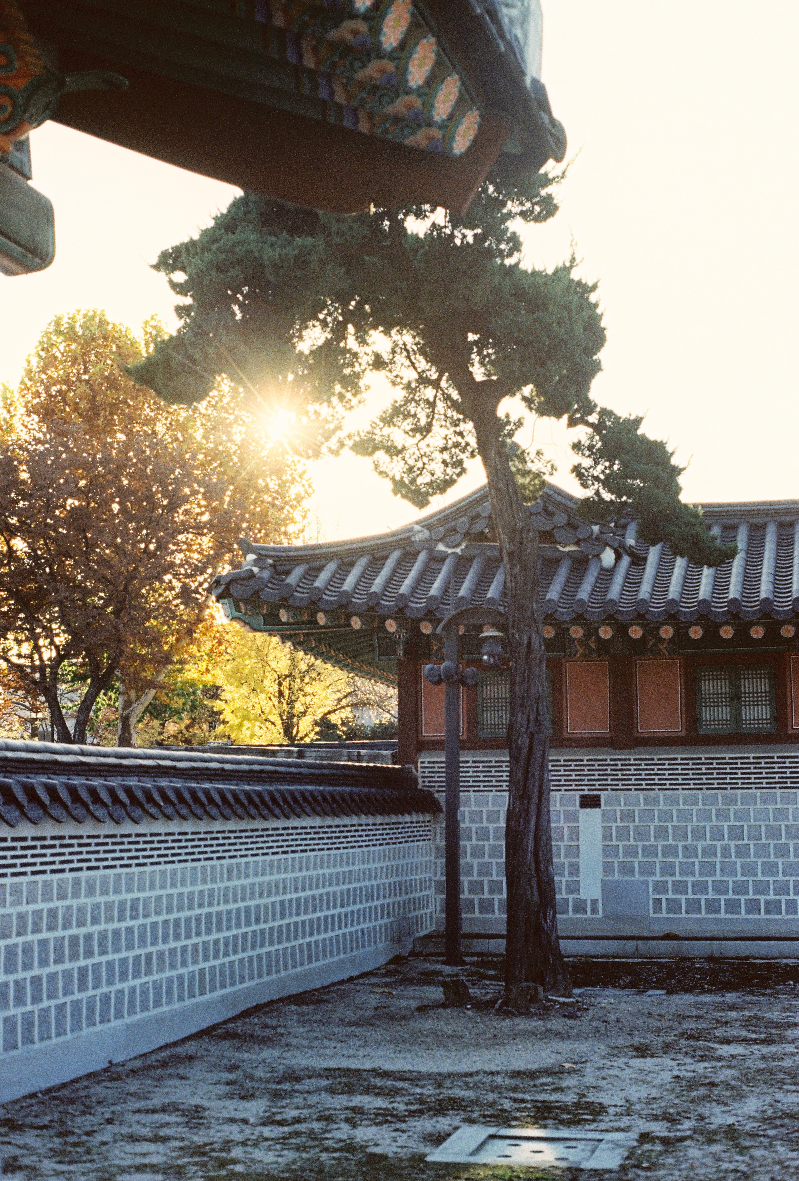 Seoul, South Korea. Съёмка влюблённых в Санкт-Петербурге Ксения Чердакова, парный фотограф