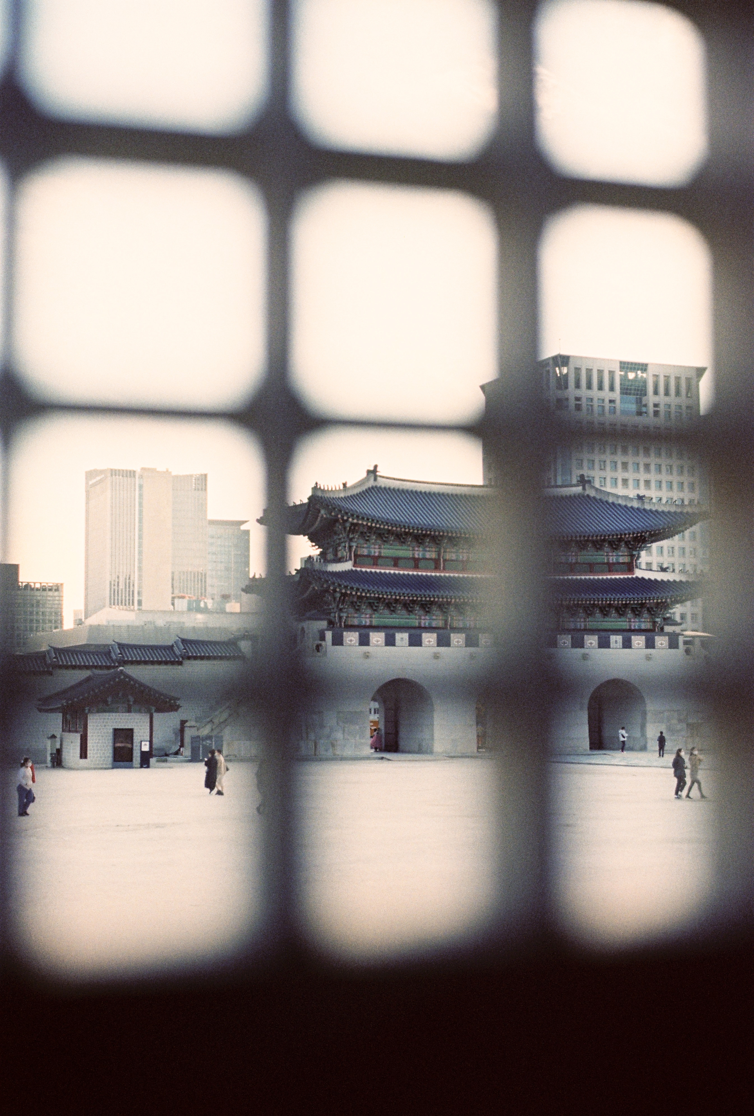 Seoul, South Korea. Съёмка влюблённых в Санкт-Петербурге Ксения Чердакова, парный фотограф
