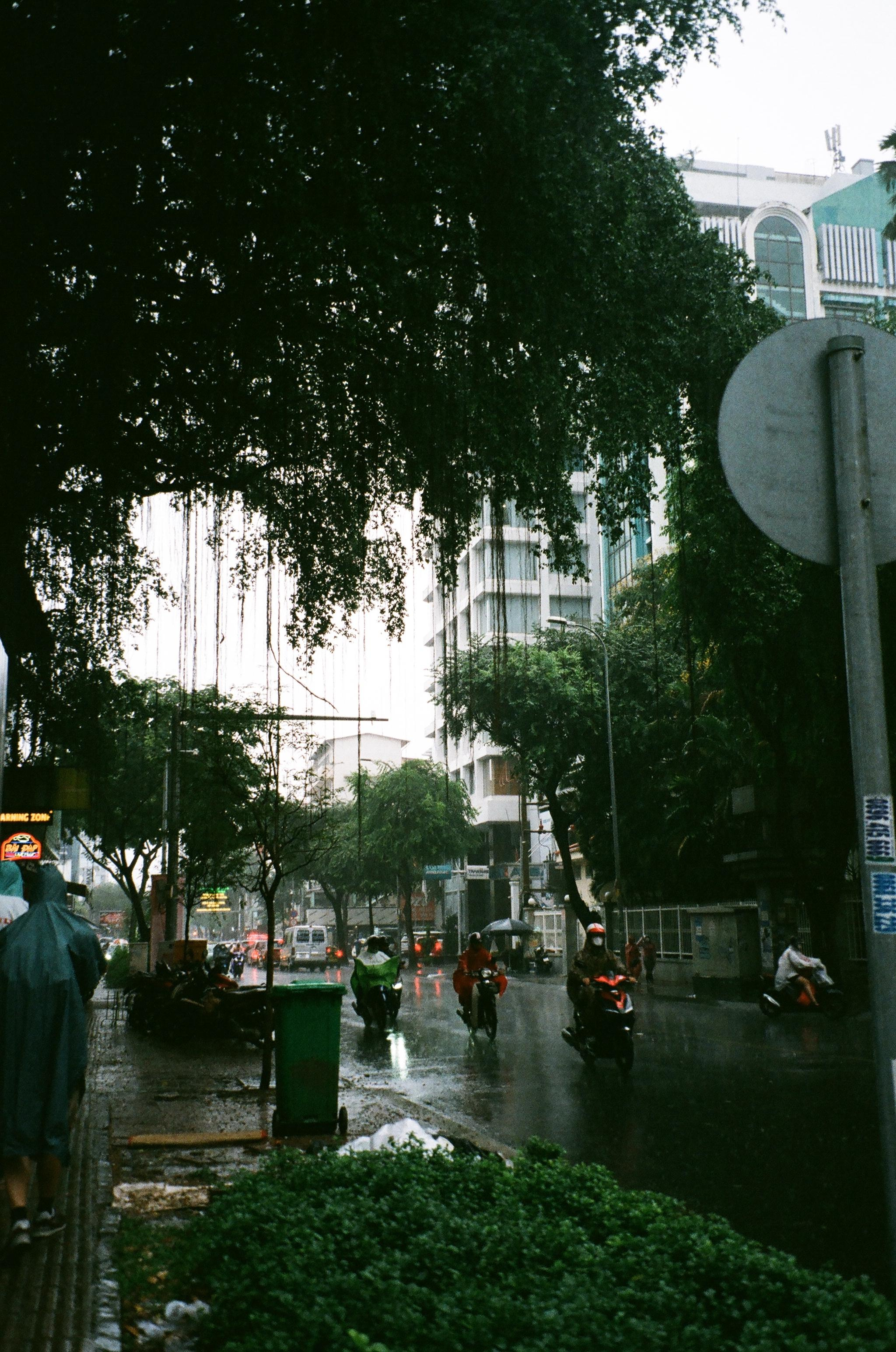 Vietnam. Съёмка влюблённых в Санкт-Петербурге Ксения Чердакова, парный фотограф