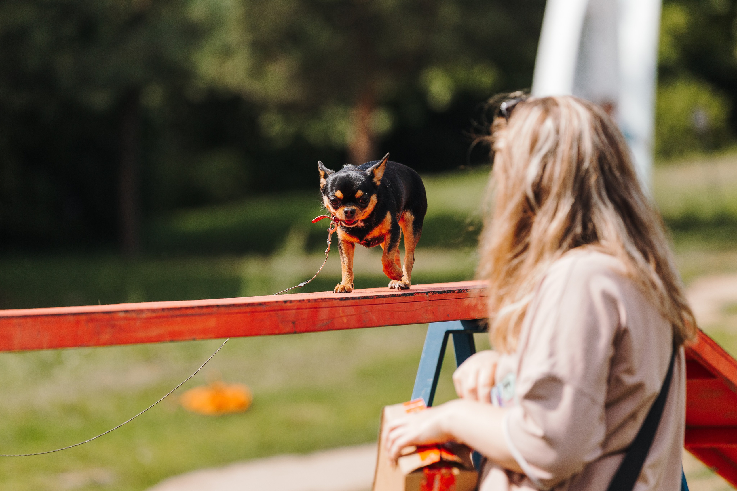 Petshop Sup day. Фотограф анималист Кристина Карпова, Москва