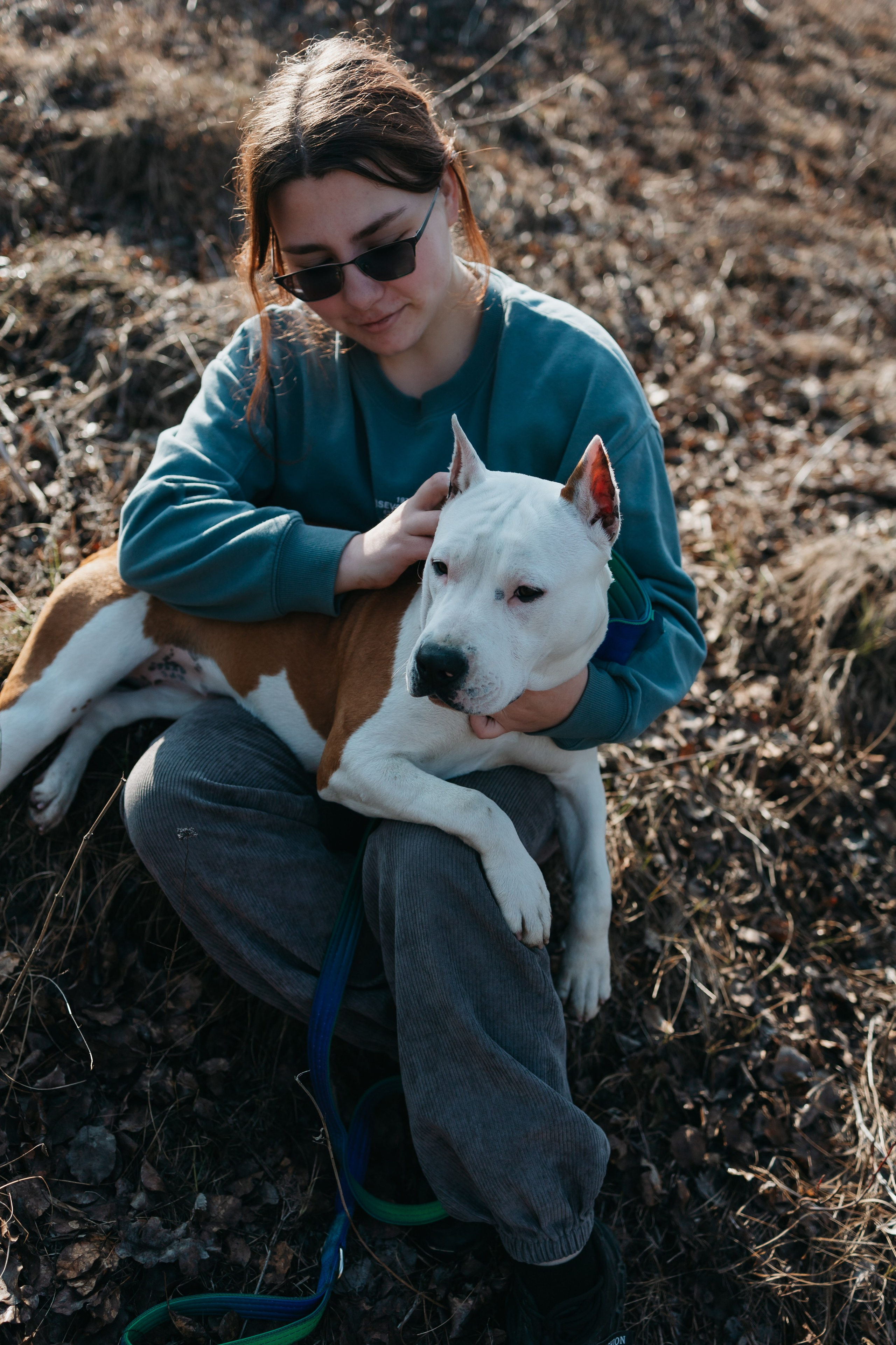 Лера, Ума и Винни. Фотограф — анималист Светлана Кысса|фотограф собак в Краснодаре и Нижнем Новгороде