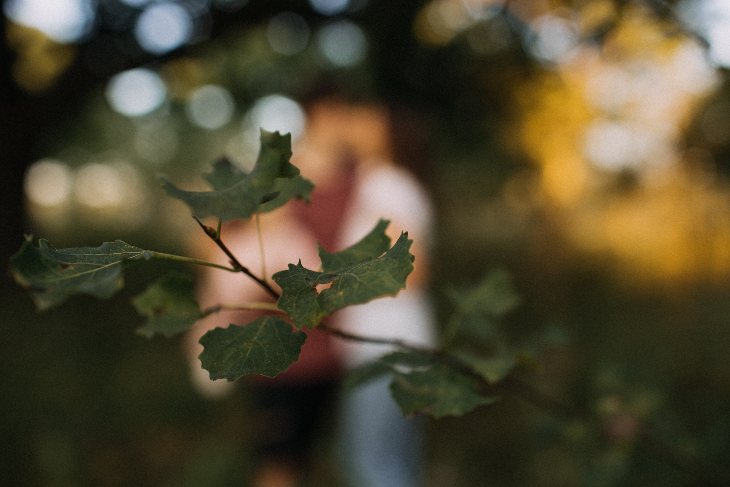 Там, где дубы-колдуны…. Семейный и детский фотограф в Москве и Ярославле Егунева Елена
