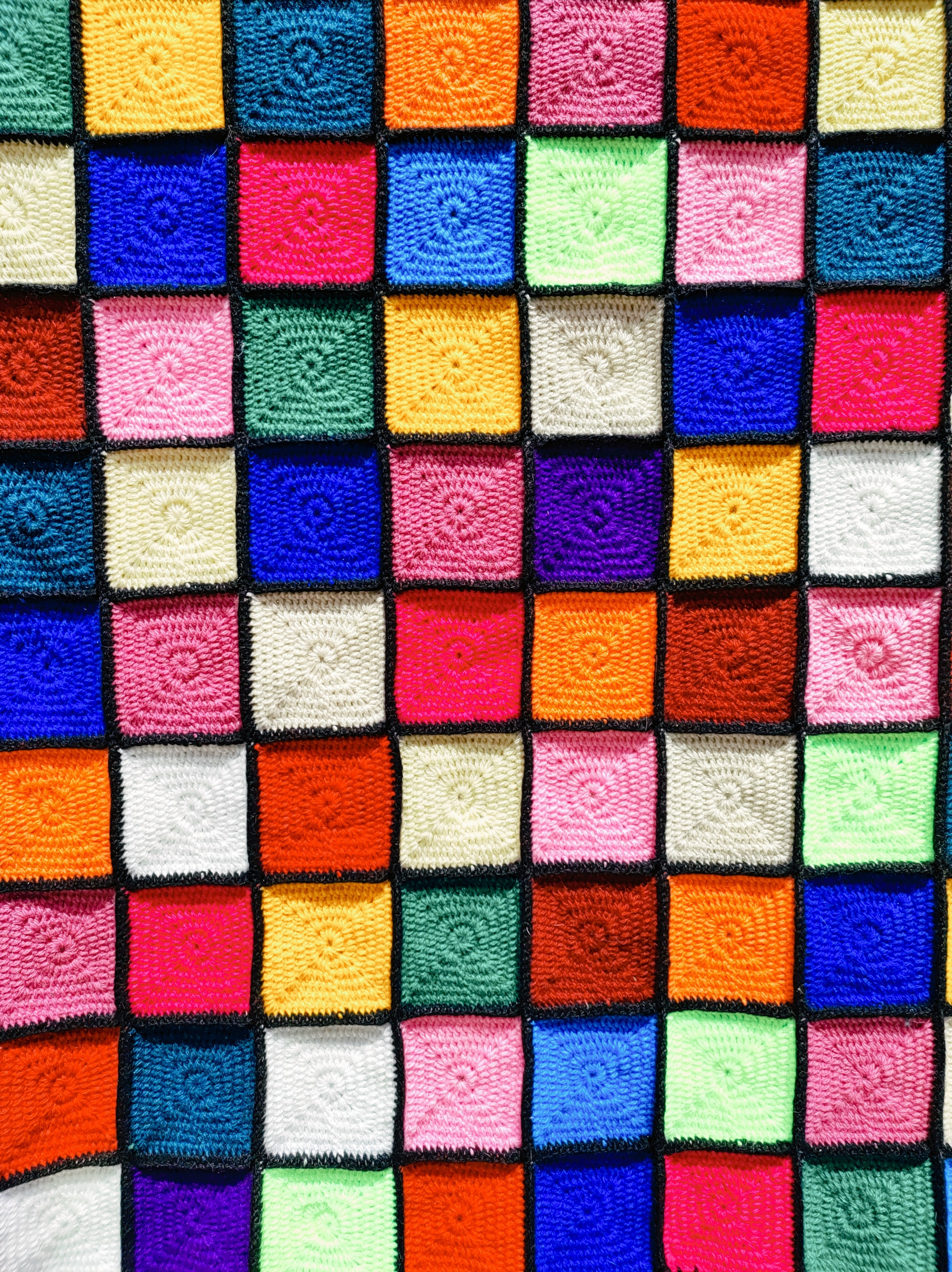 Намобилкус кавказский. Репортажный фотограф Алексей Пирязев