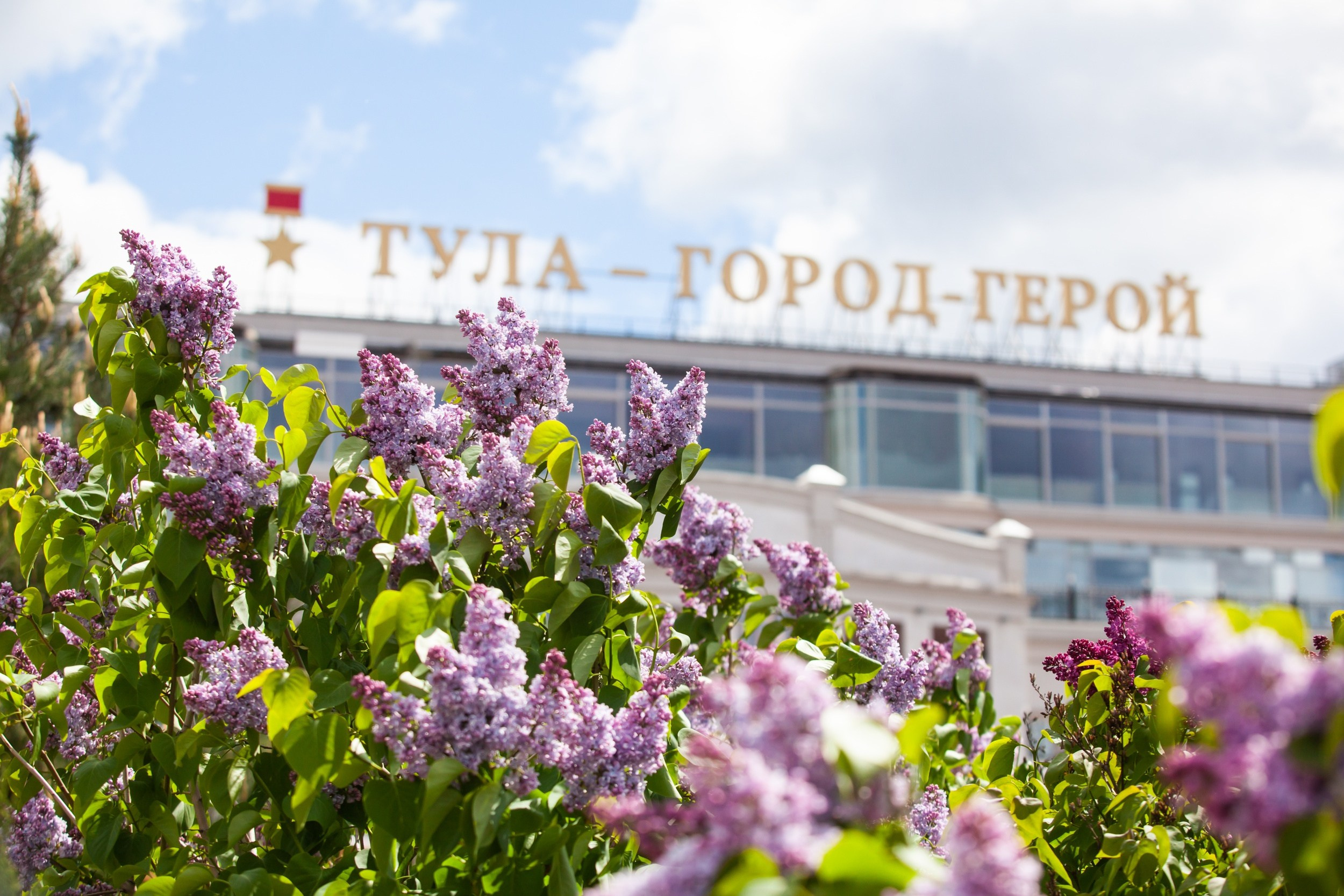 Тула. Репортажный фотограф Алексей Пирязев
