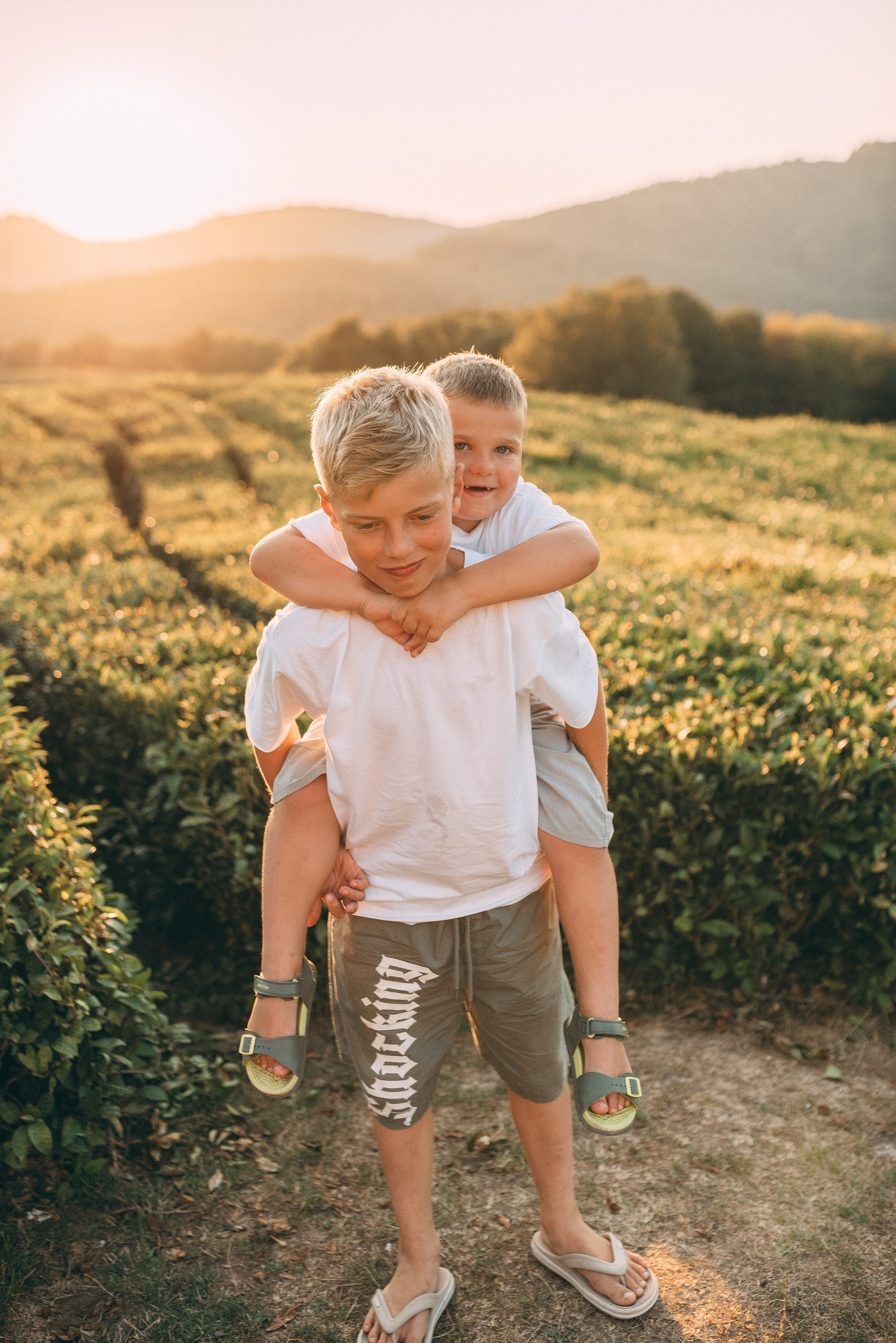 Чайные плантации 🌿✨. Фотограф в Сочи — Маргарита Поганова