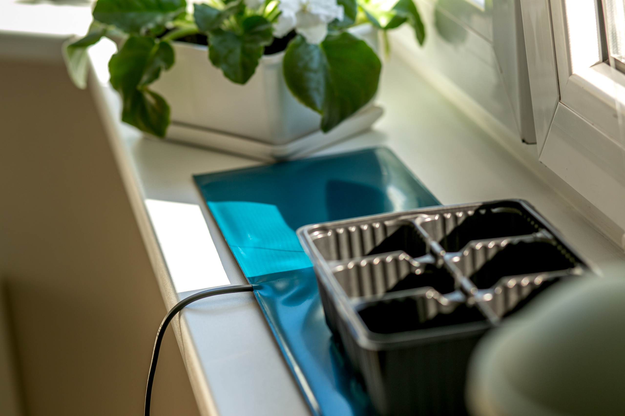 Компания по производству изделий для домашнего электрообогрева. Коврик с подогревом и йогуртница