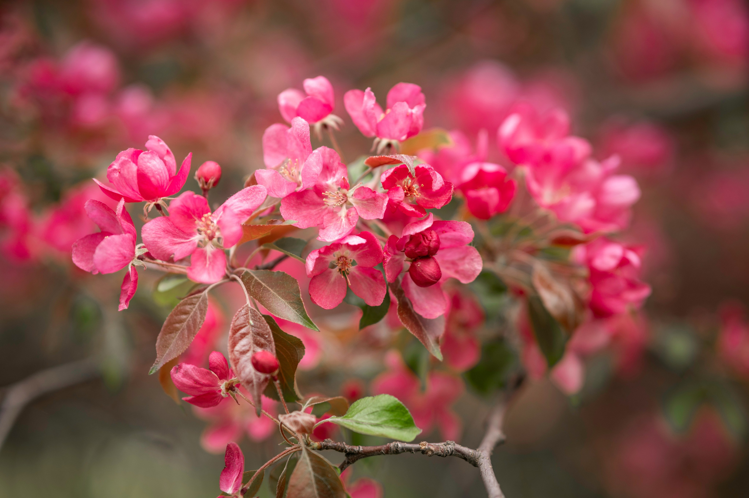Мария в Коломенском