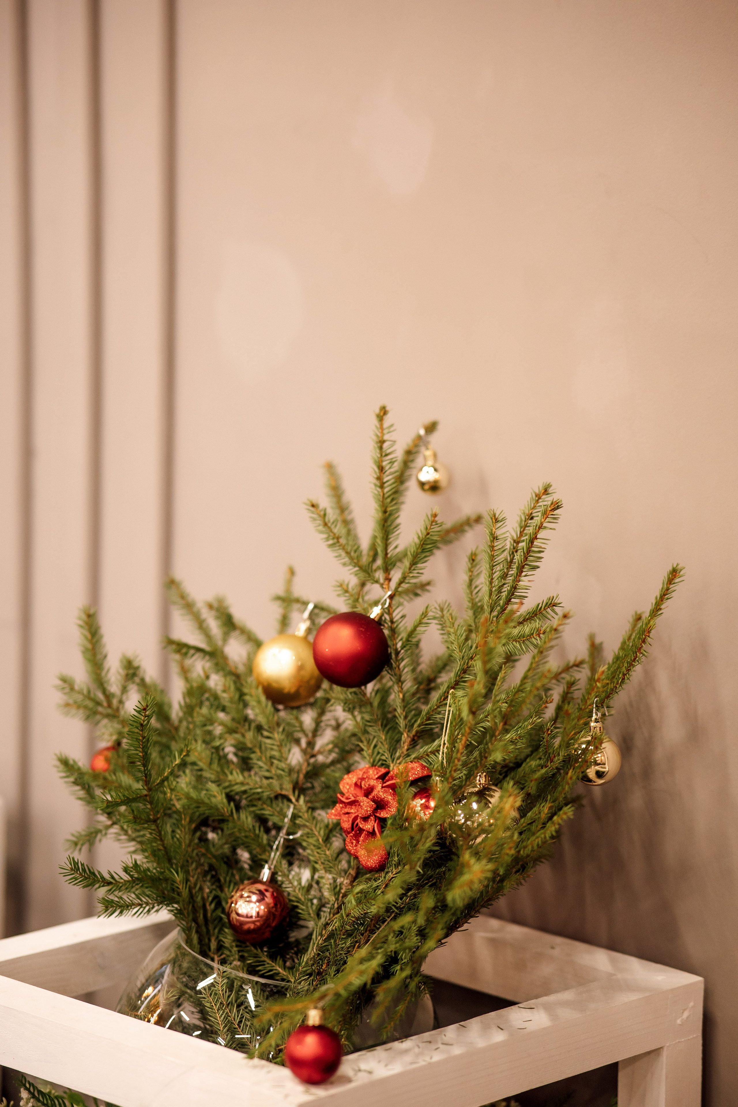 2024 Новый год ≪Барин ≫. Свадебный фотограф Михаил Александров