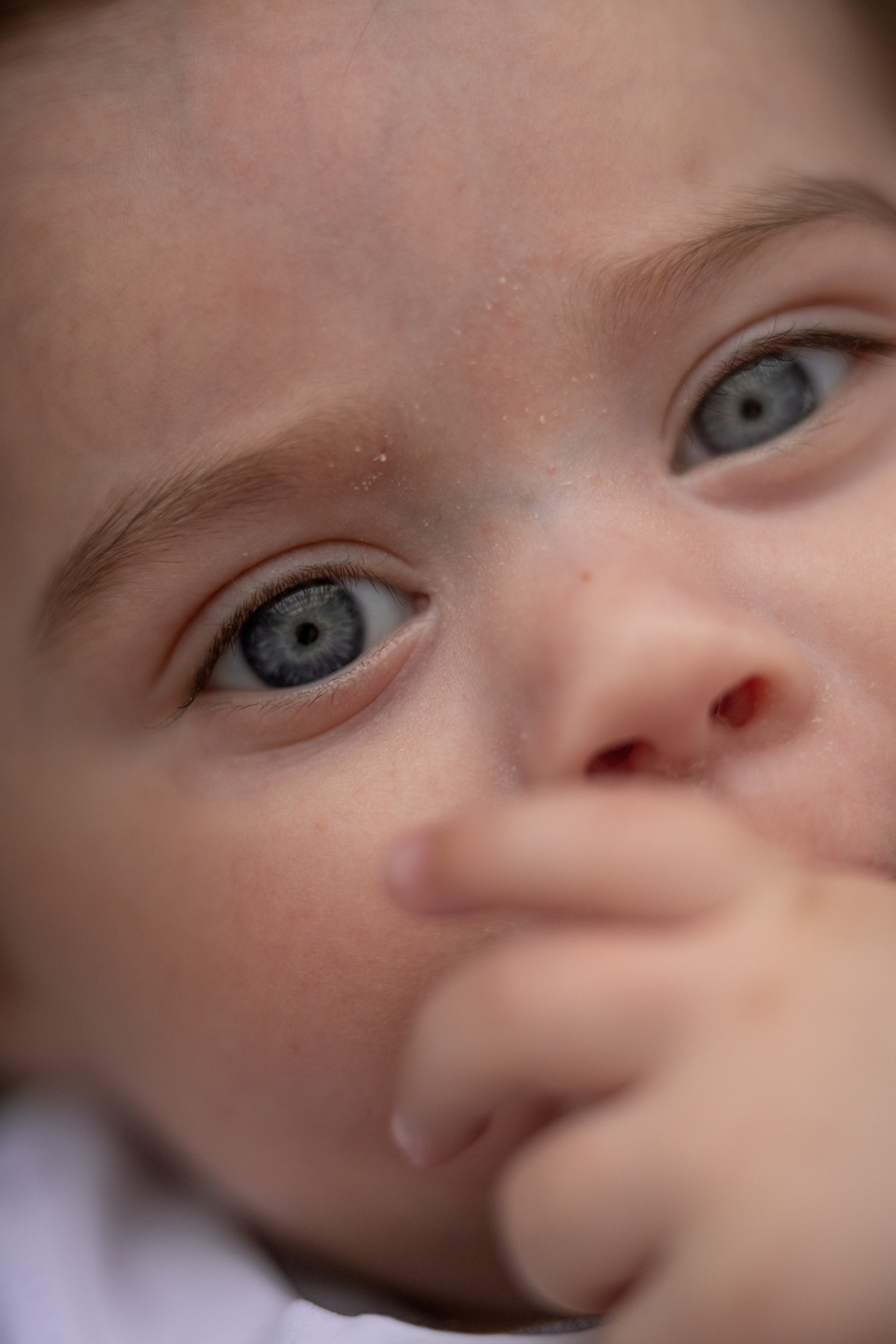 Чермен Анна Есения и Соломон. Фотограф в Москве Проймин Алексей