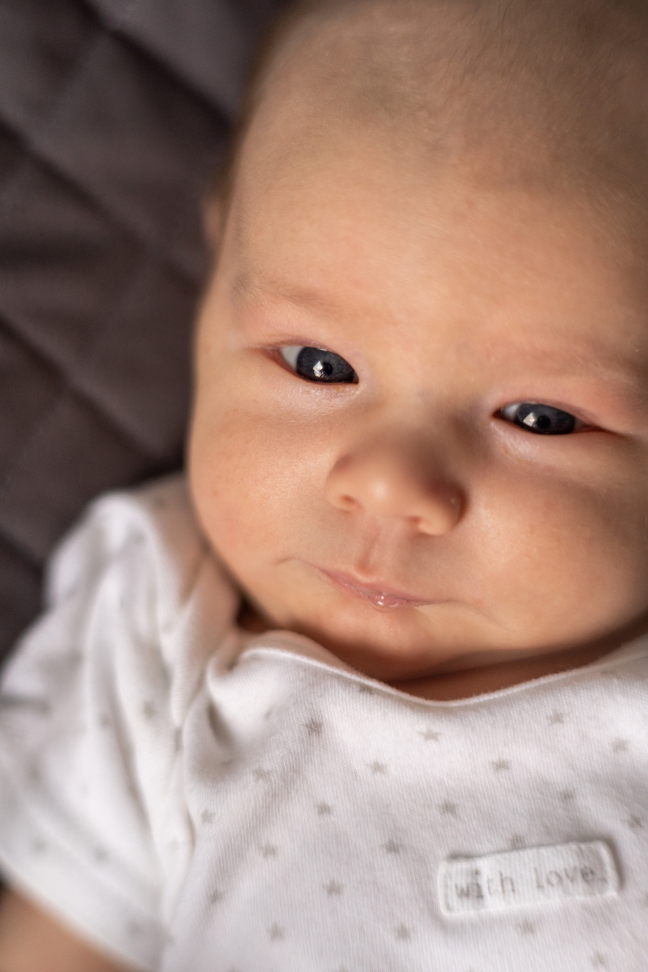 Костя Мила Гоша и Гордей. Фотограф в Москве Проймин Алексей