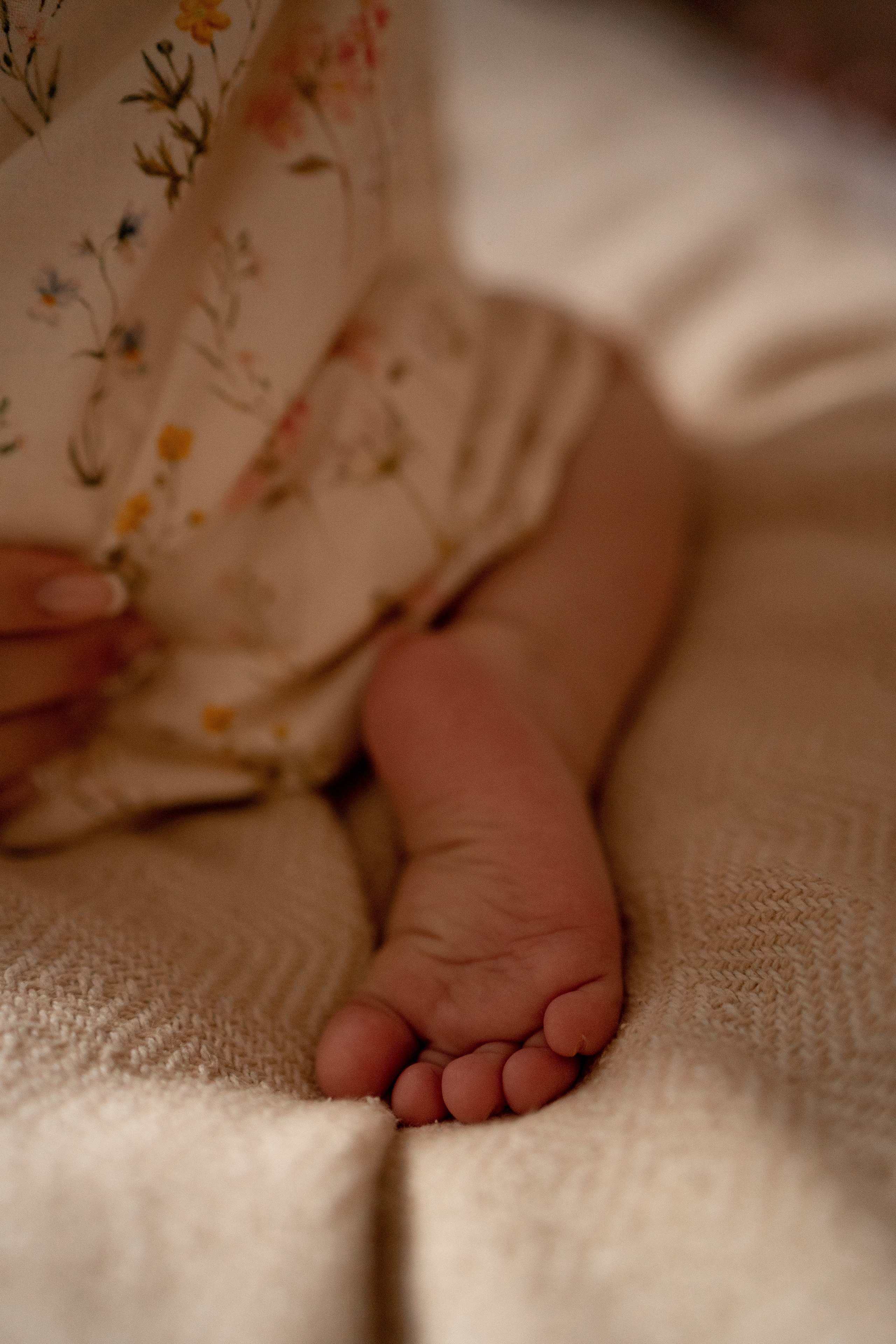 Сергей Маша и Василиса. Фотограф в Москве Проймин Алексей