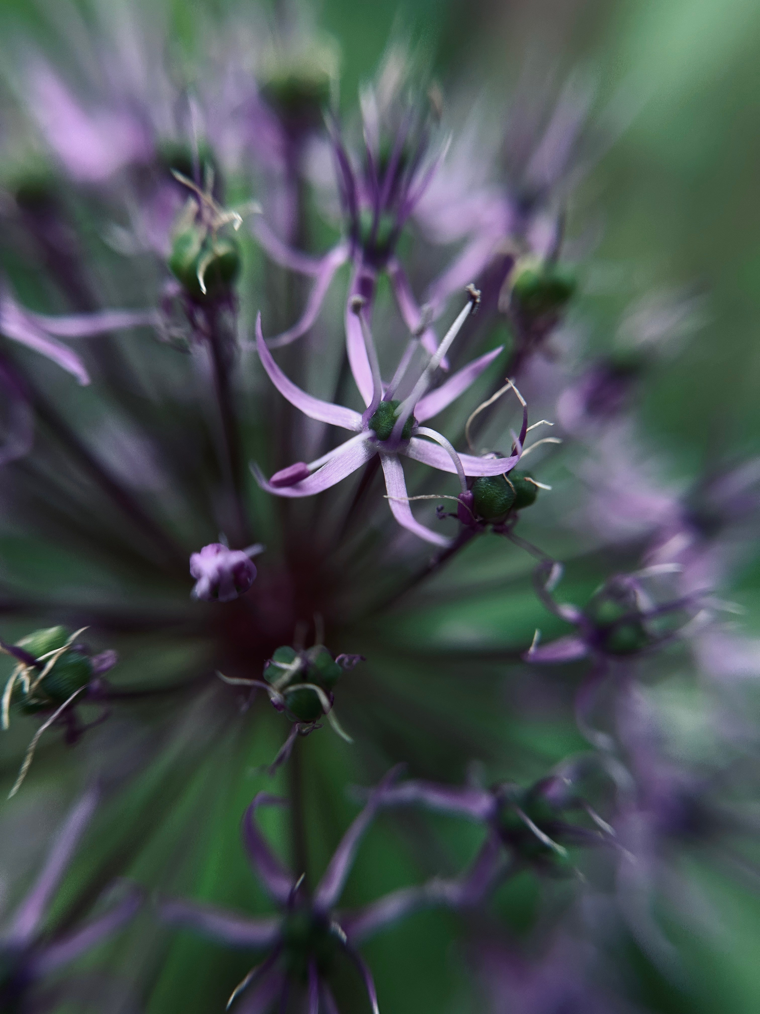 Флора и фауна. Смотри, красота!