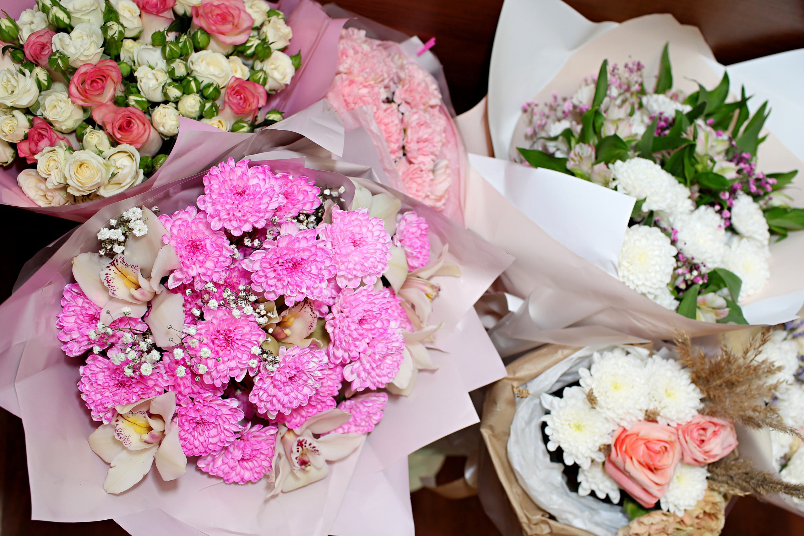 Никита и Виктория. Детский и женский фотограф в Кемерово Анна Смирнова