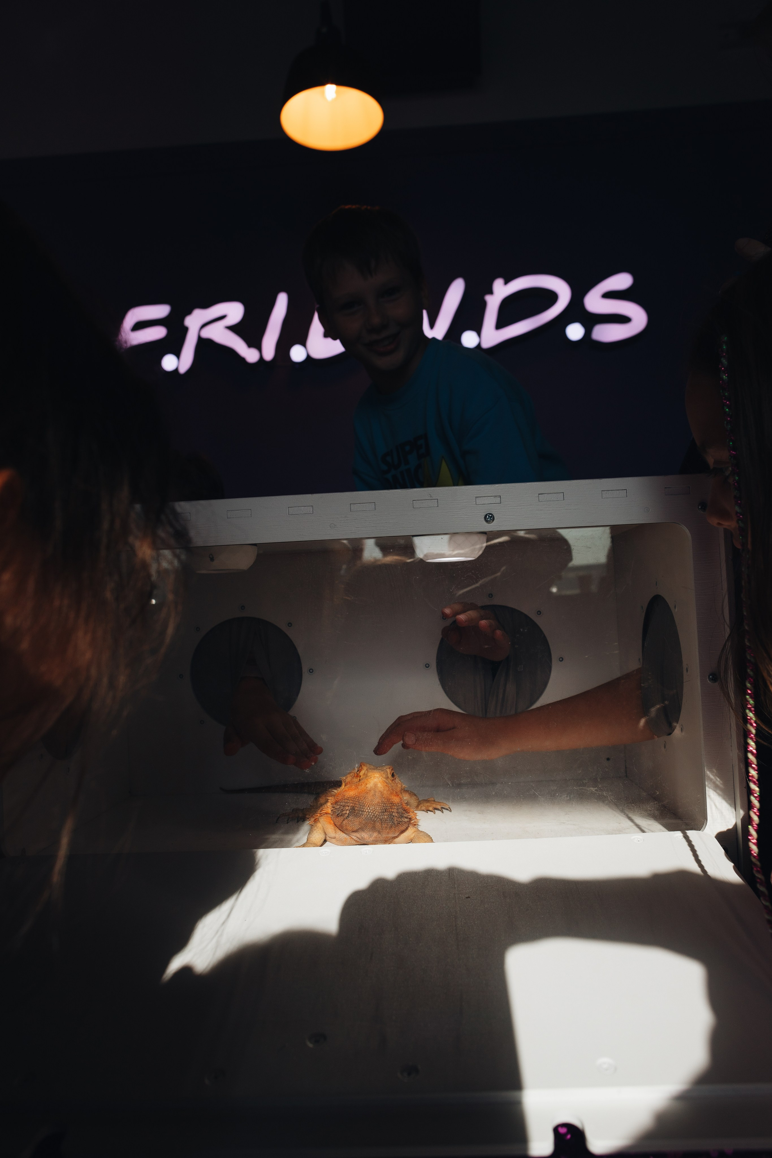 София, с днём рождения!. Портретный фотограф в Москве и МО Зимина Татьяна