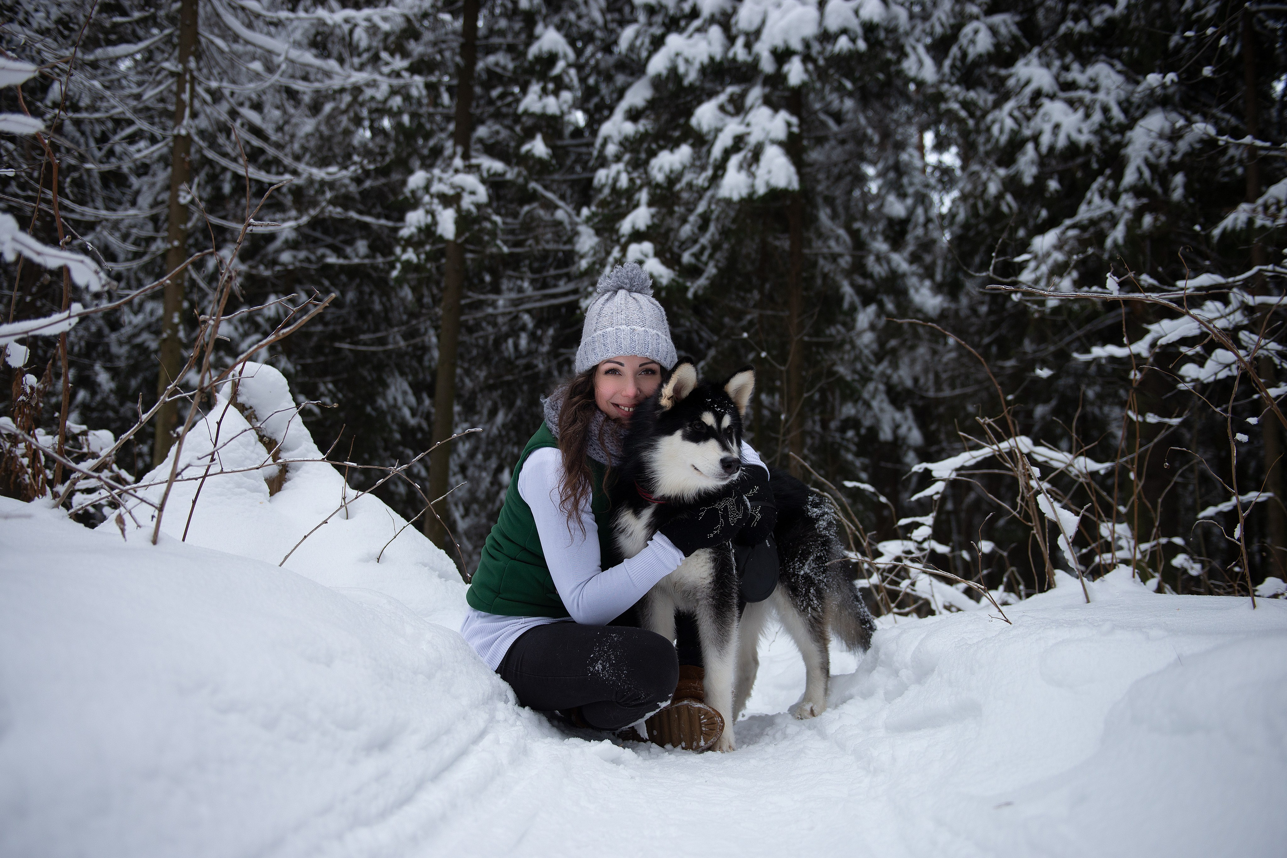 Зимний лес прекрасен. Творческий фотограф Вологда