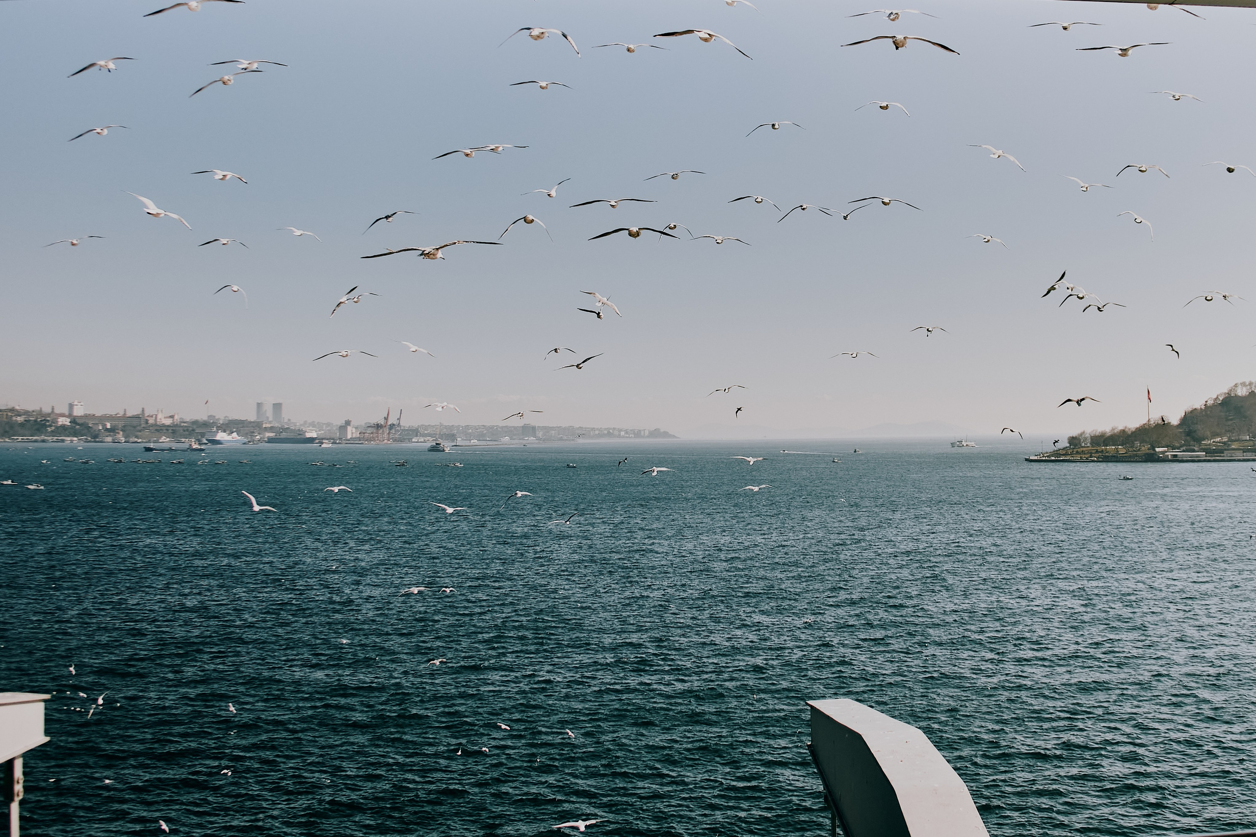 Travel. Фотограф в Челябинске — Дмитрий Носов