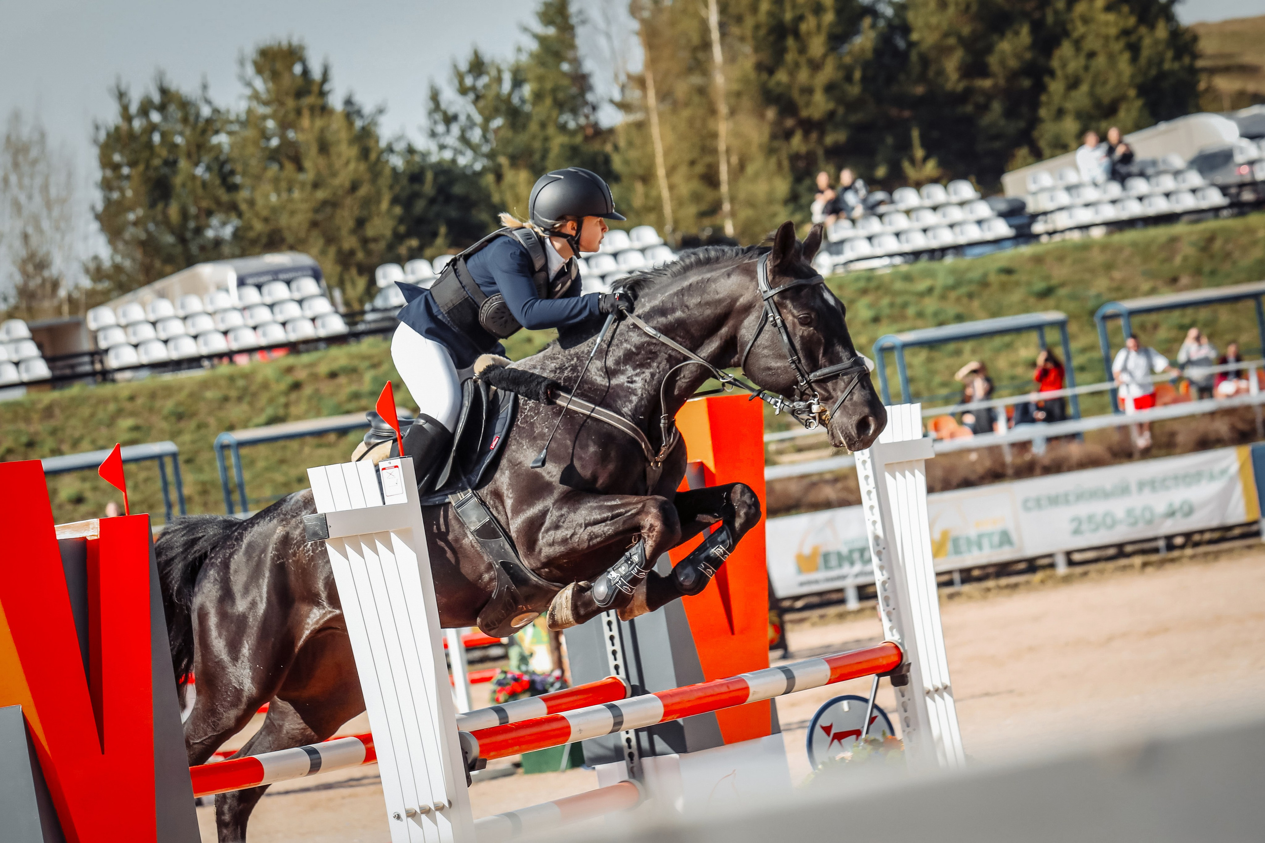 Лошади Евы Демидовой. Ева Демидова. Спортсмен по конкуру в Санкт-Петербуре