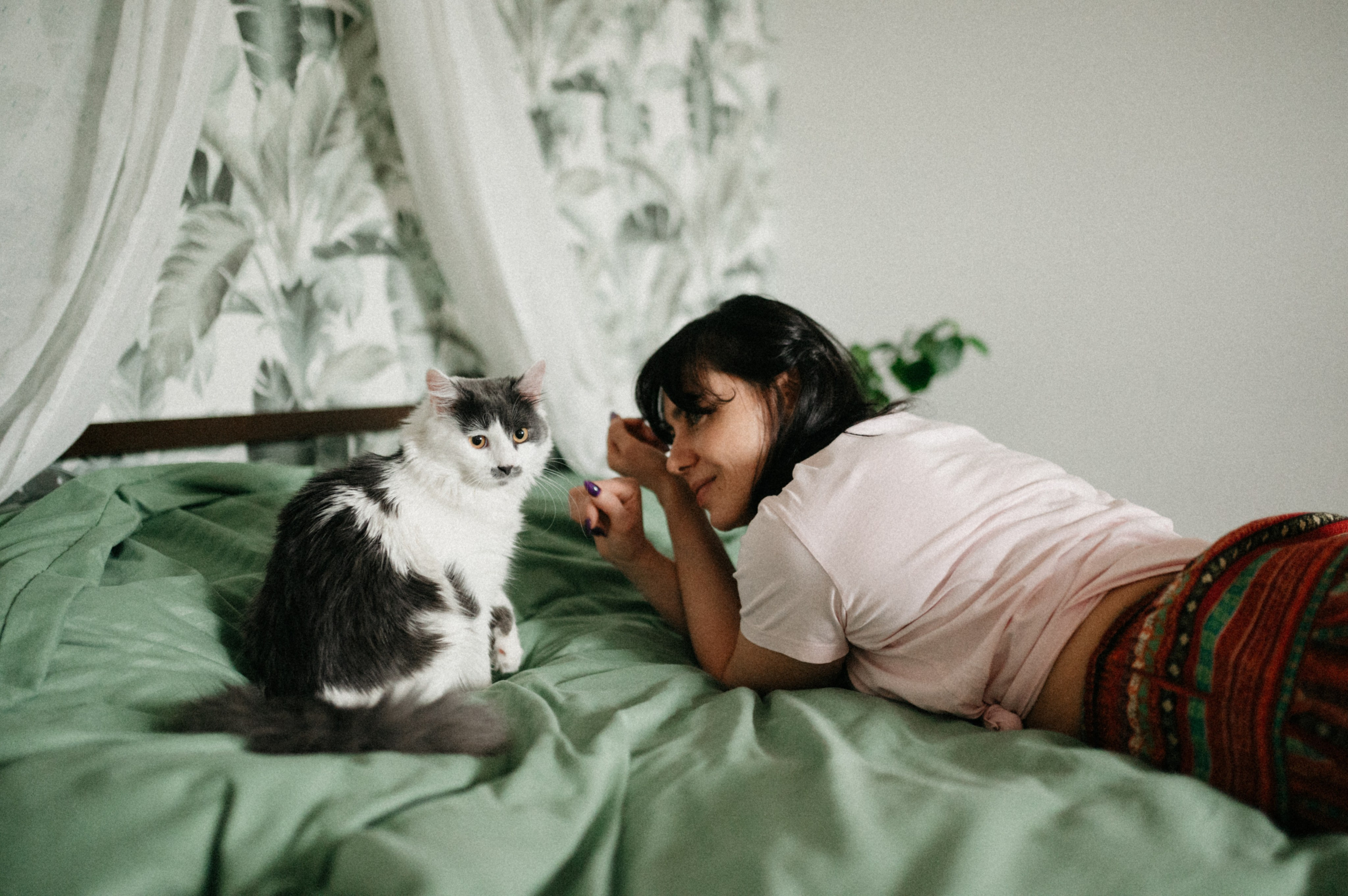 Оля и её меховая банда. Фотограф анималист в Москве Ольга Агушева