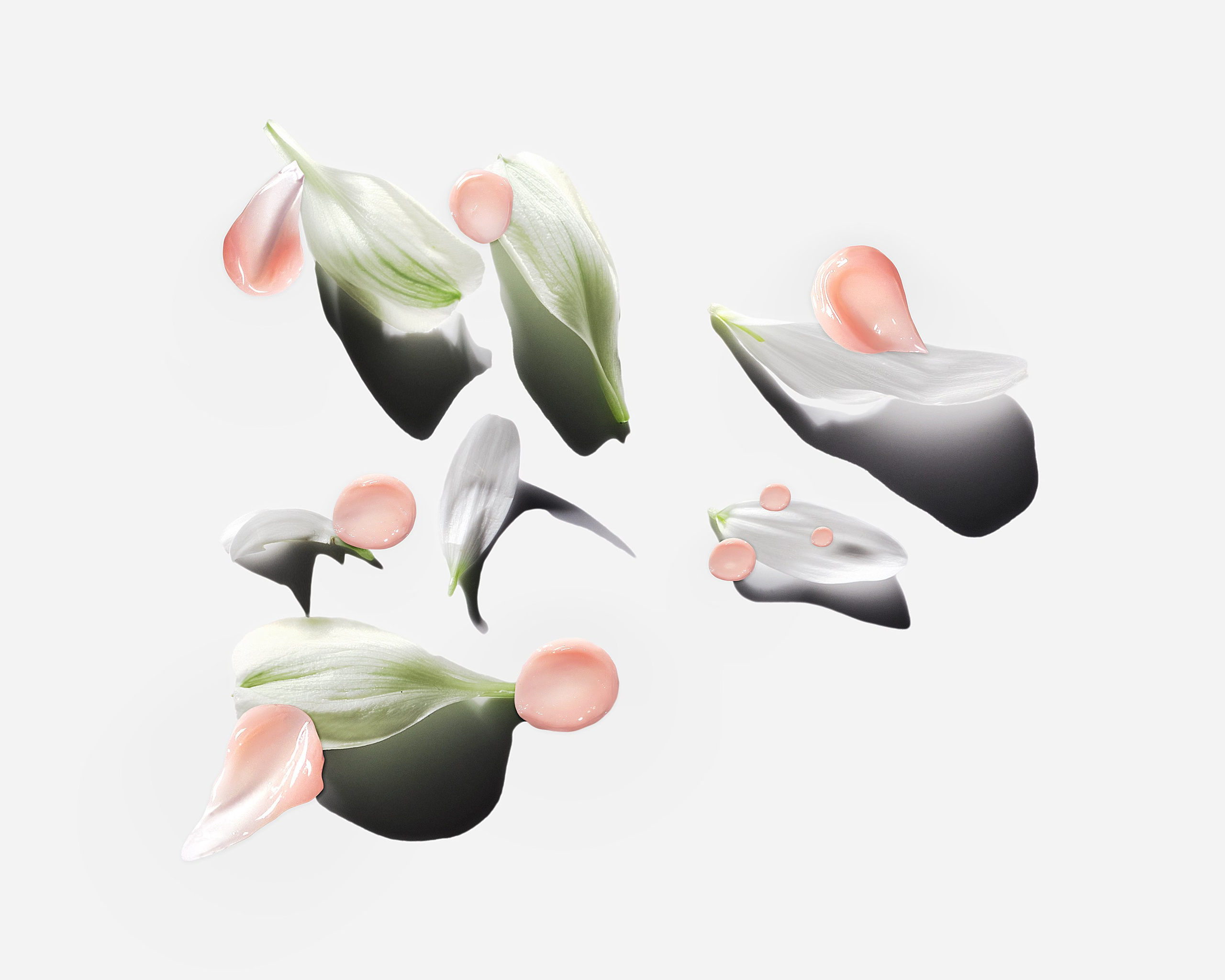 Портфолио. Предметный фотограф | Санкт-Петербург | Кристи Хареба