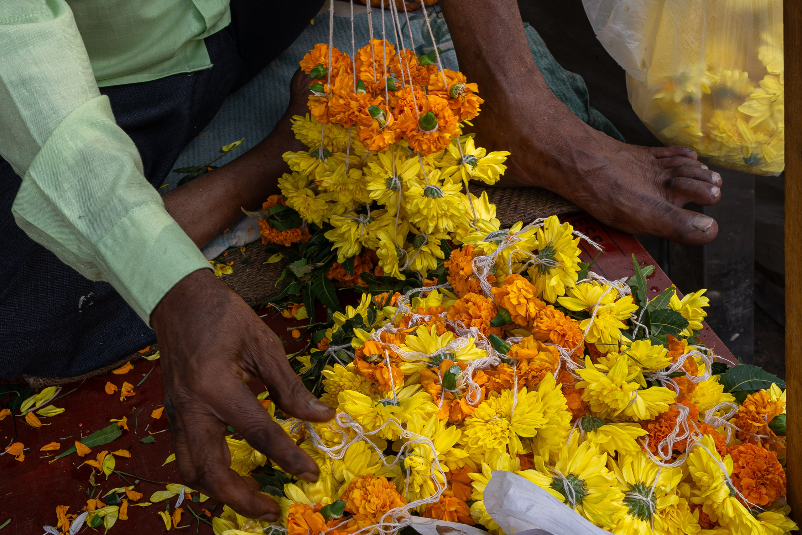 India 2024-2025. Dimitri Bakhtadze photographer