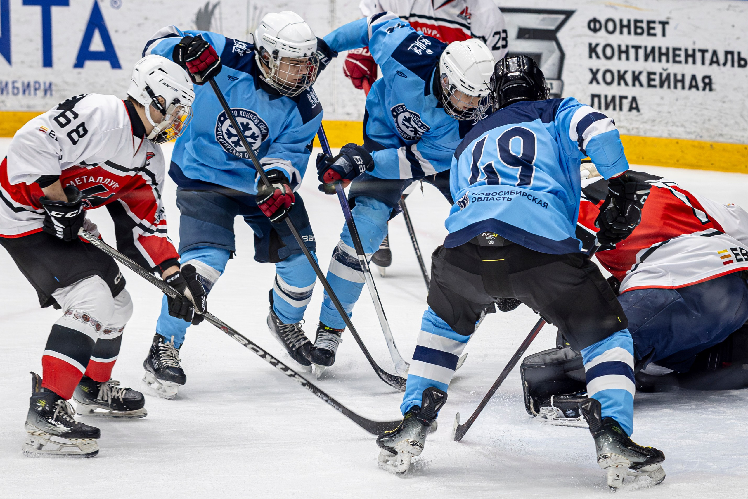 Сибирь (ЮХЛ). Bertran Ordo