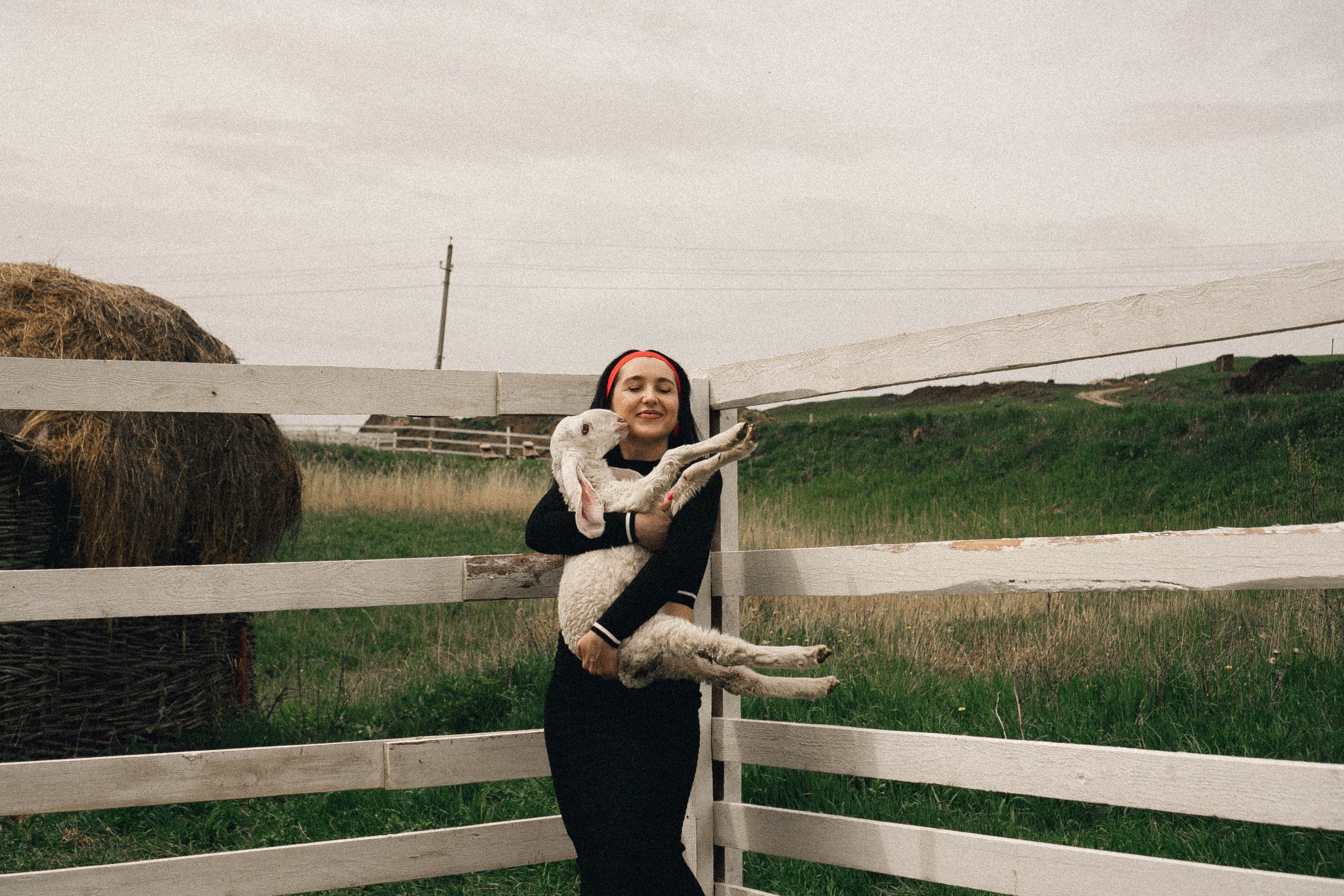 Ферма Альпак. Профессиональный фотограф, Санкт-Петербург — Виктория Богомолова