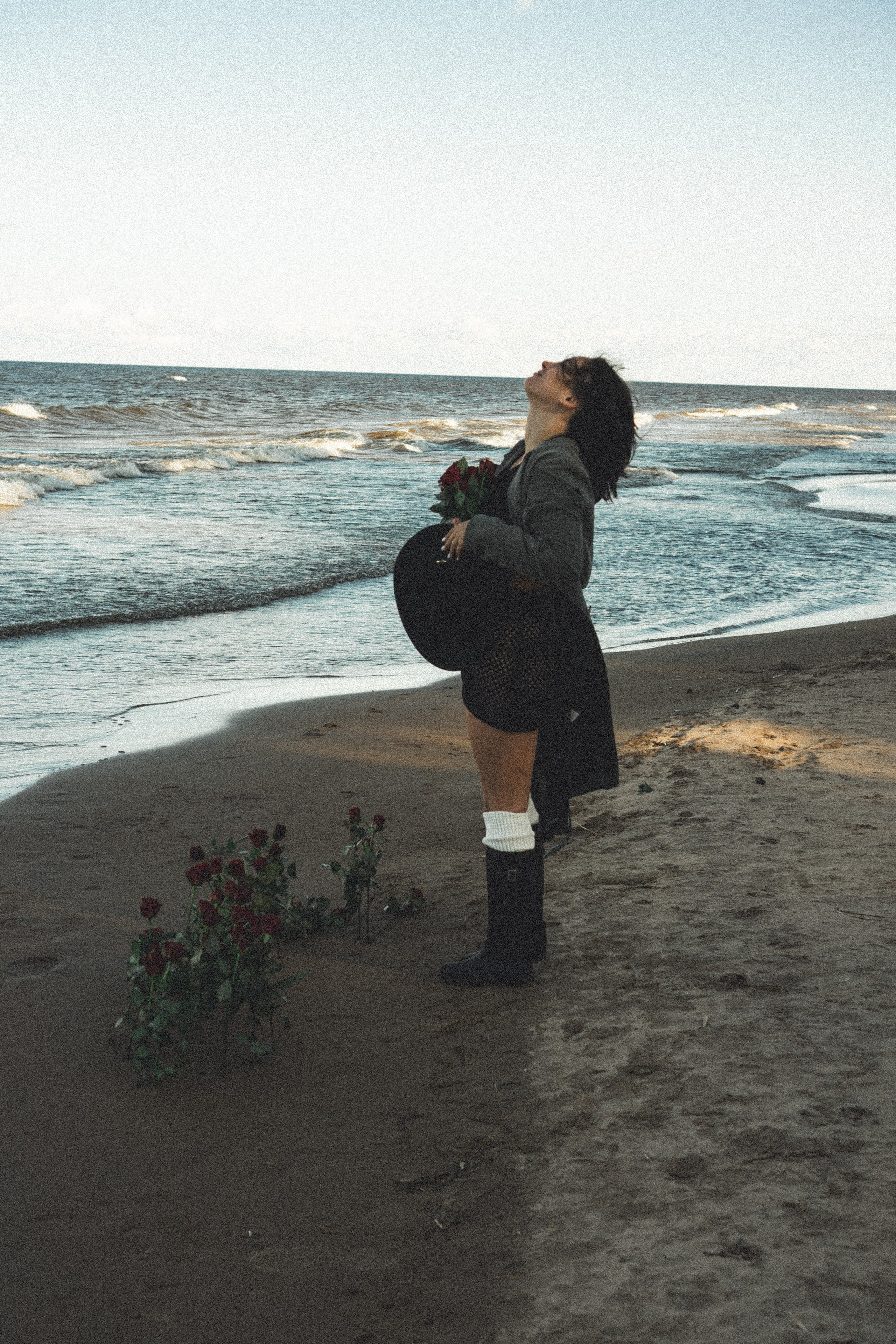 Розы. Профессиональный фотограф, Санкт-Петербург — Виктория Богомолова