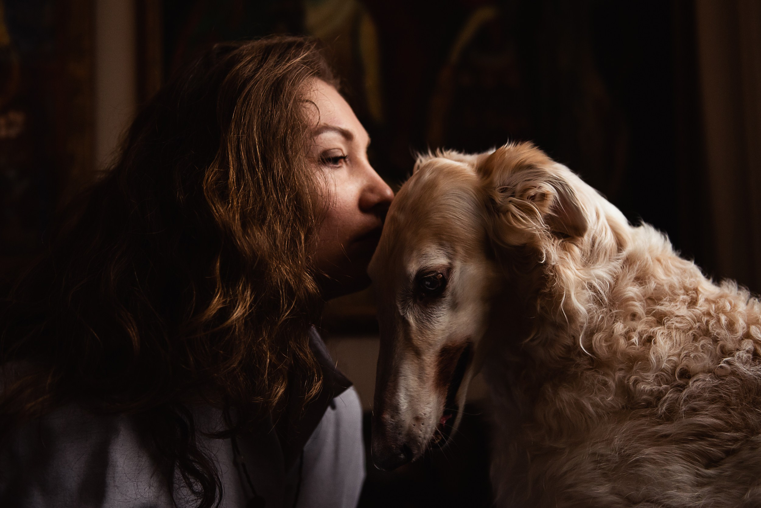 Квартира с картинами. Алиса, Андрей и их пушистая семья. Семейный Фотограф в Москве Ирина Хохлова