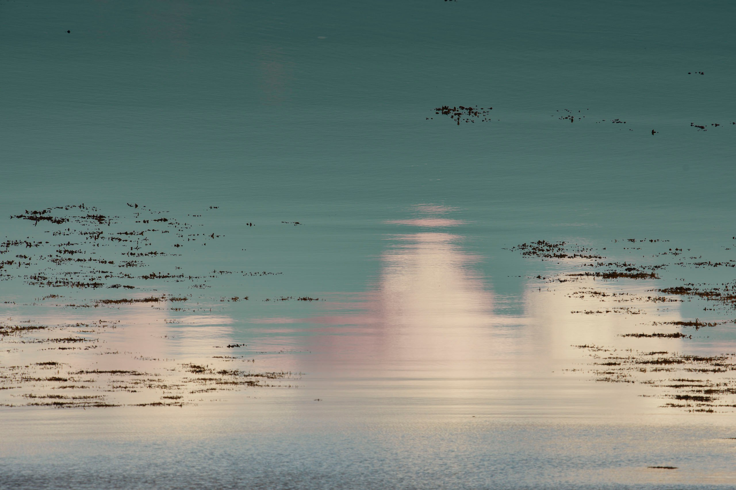 Визуальный мир