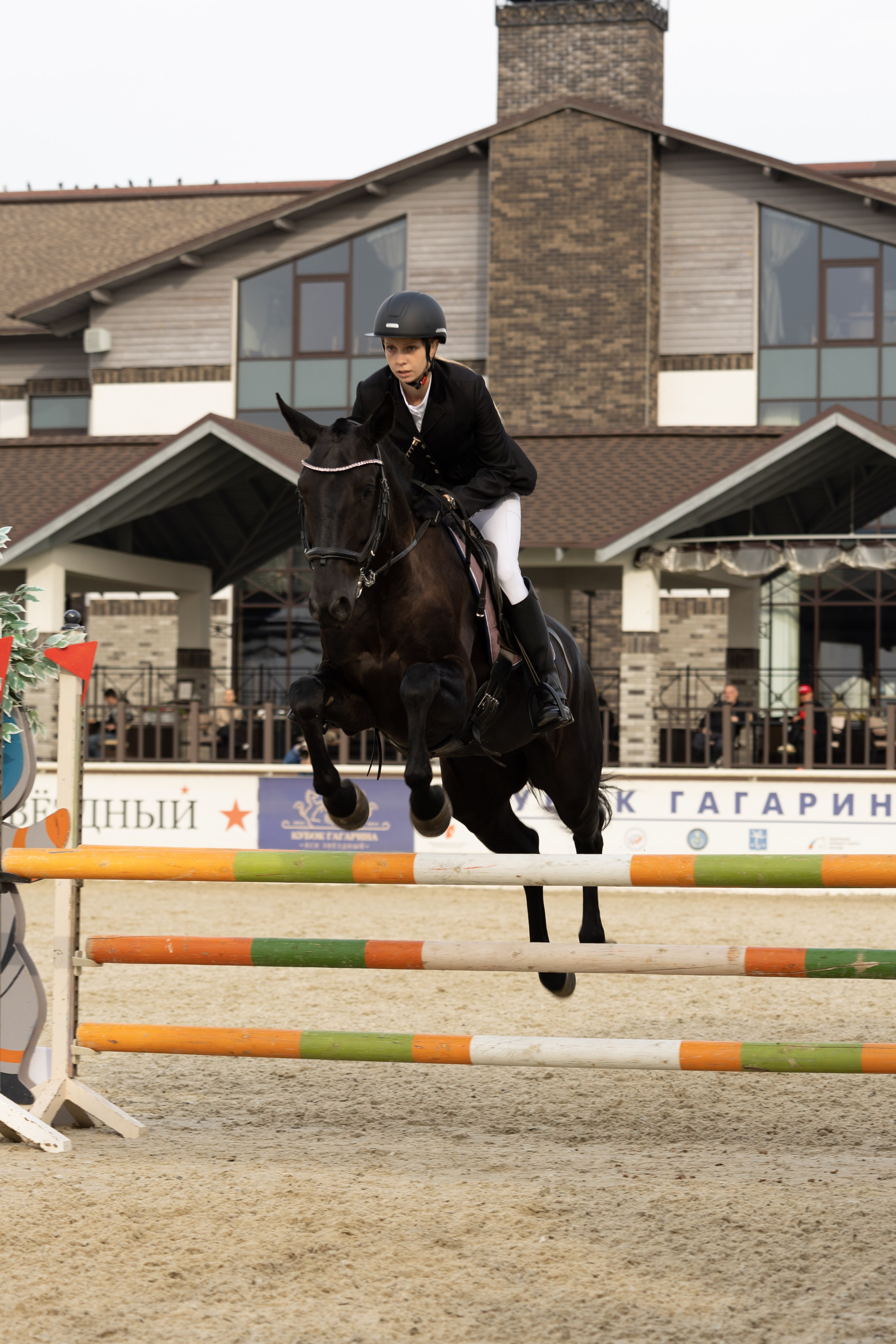 Соревнования по конкуру. Фотограф в Москве Светлана Богначева