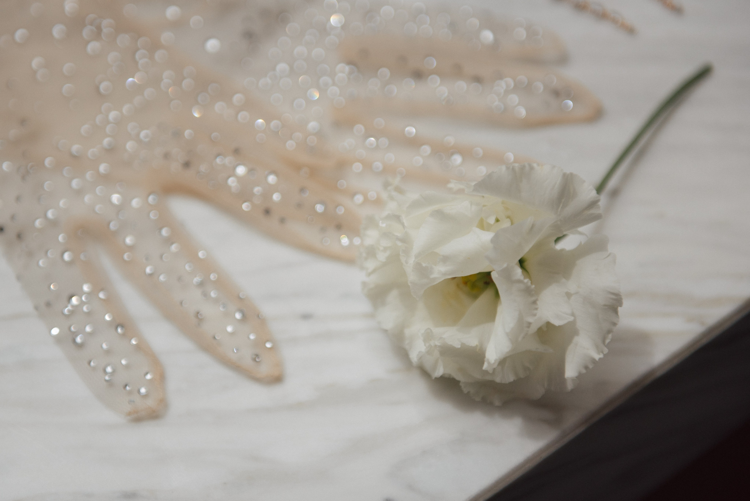 Роман + Анастасия — Организация EventGstudio. Свадебный и семейный фотограф Волгоград Москва