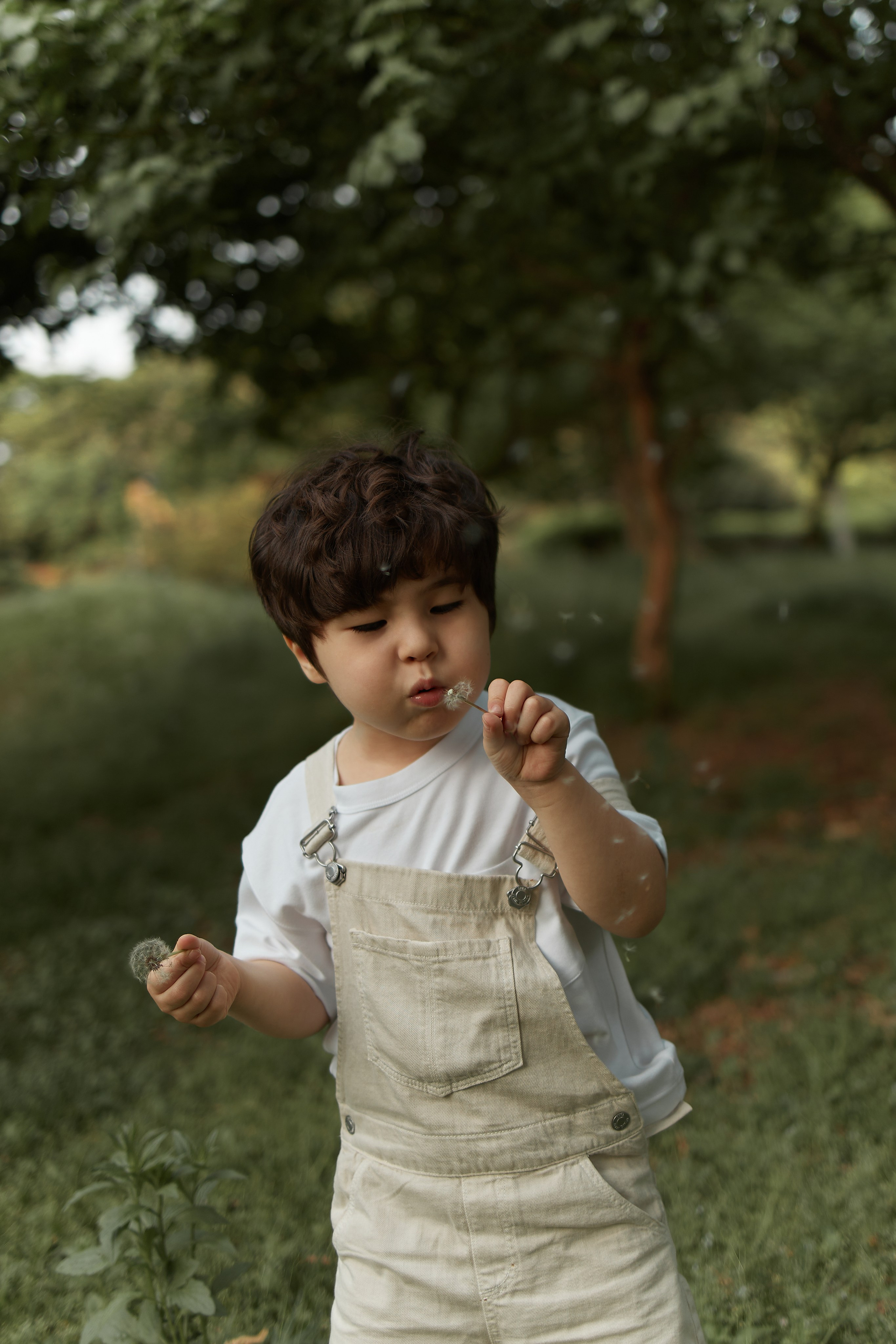 3 in Seoul. Ваш душевный фотограф