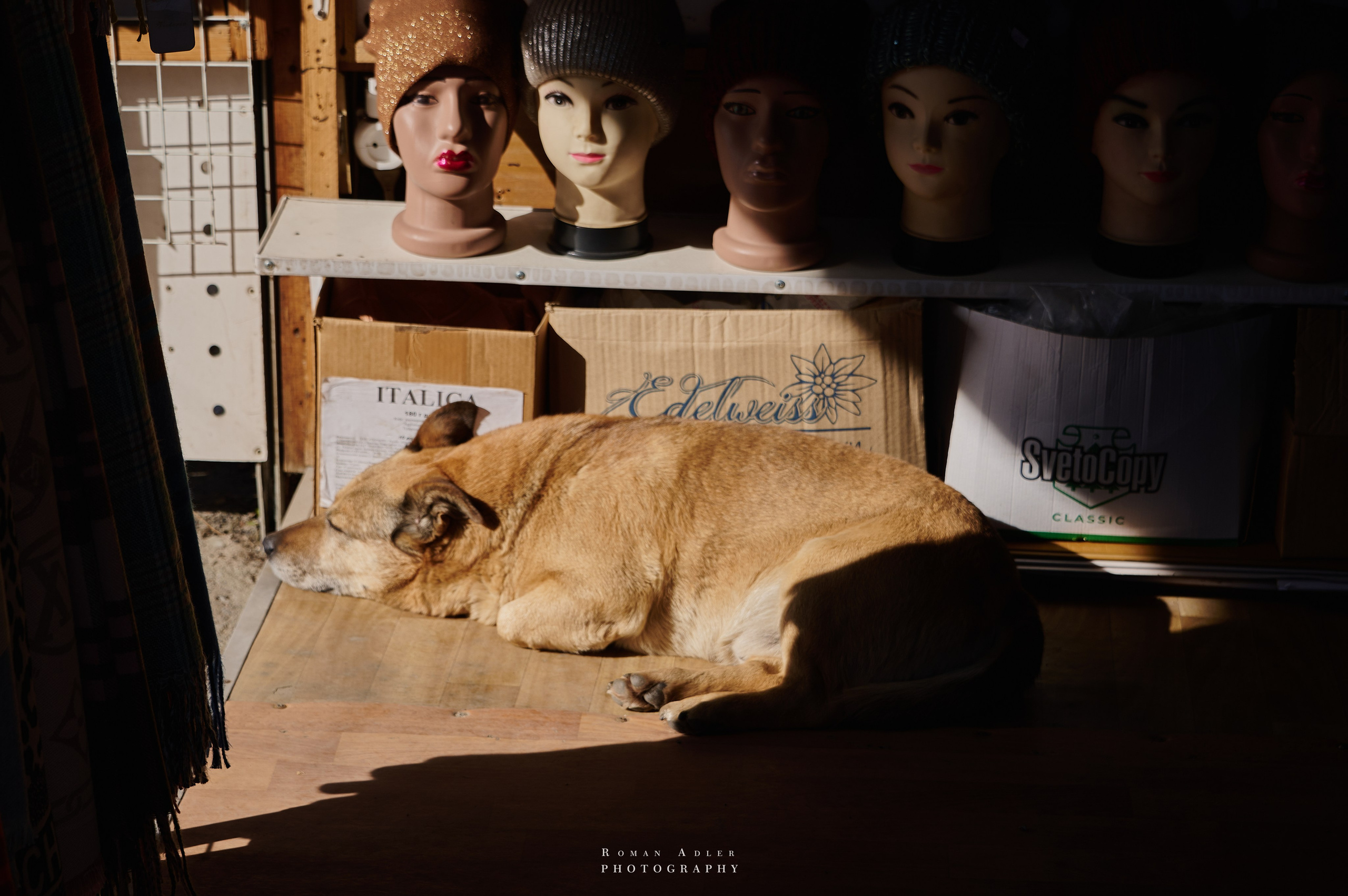 Фото для презентации фотопроекта «Территории». Фотопроект «Территории»