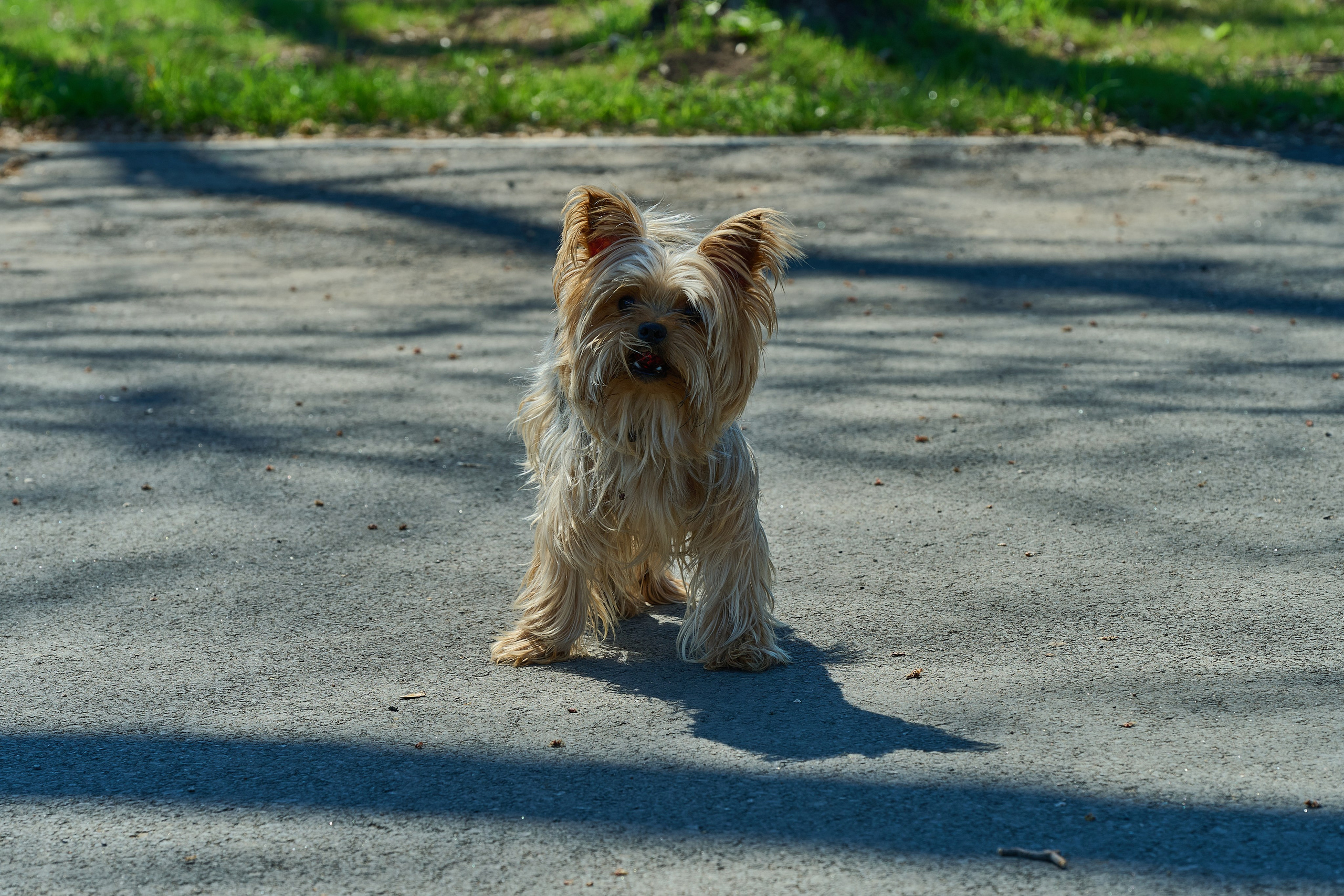 Мариуполь. Фотопроект «Территории»